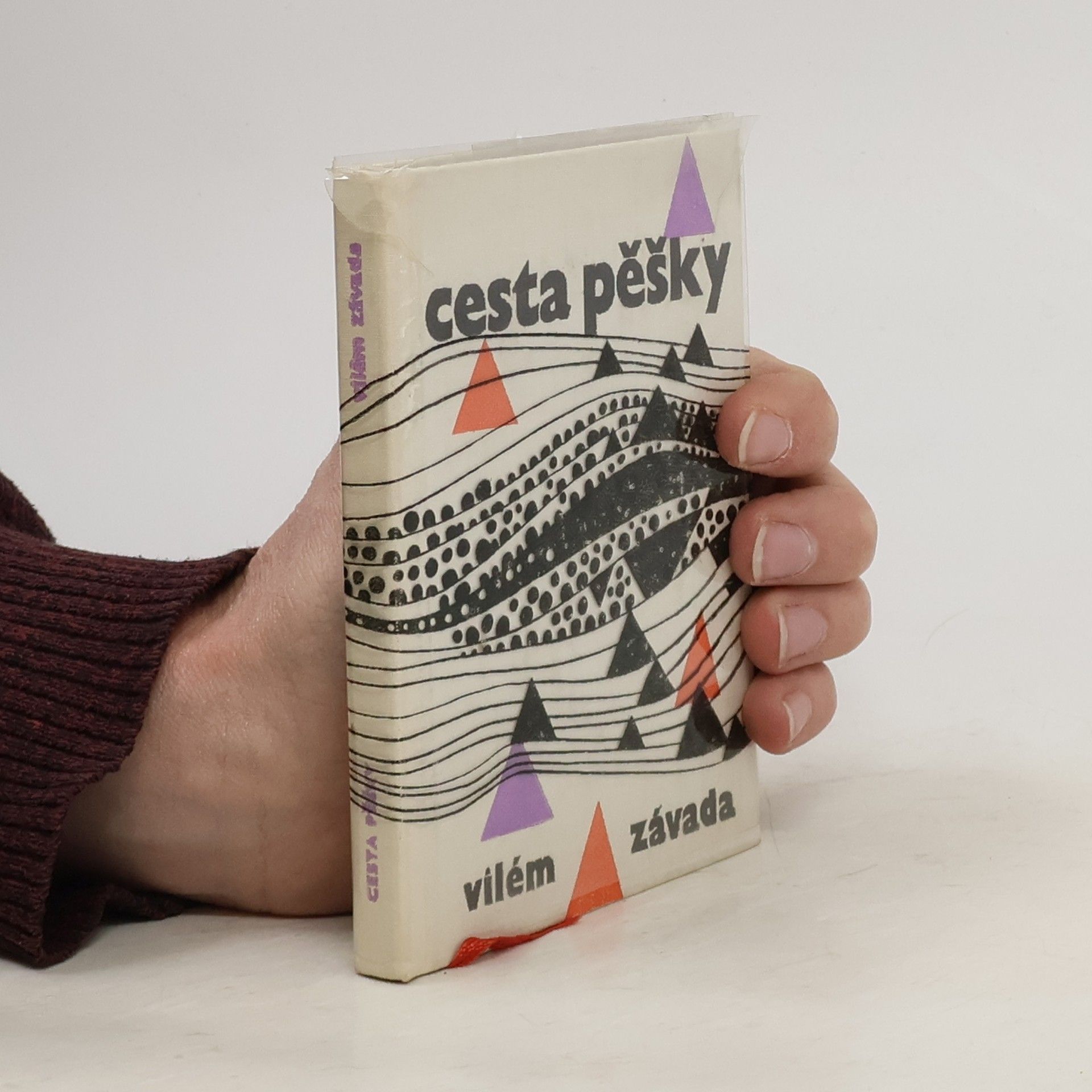 Vilém Závada Cesta pěšky