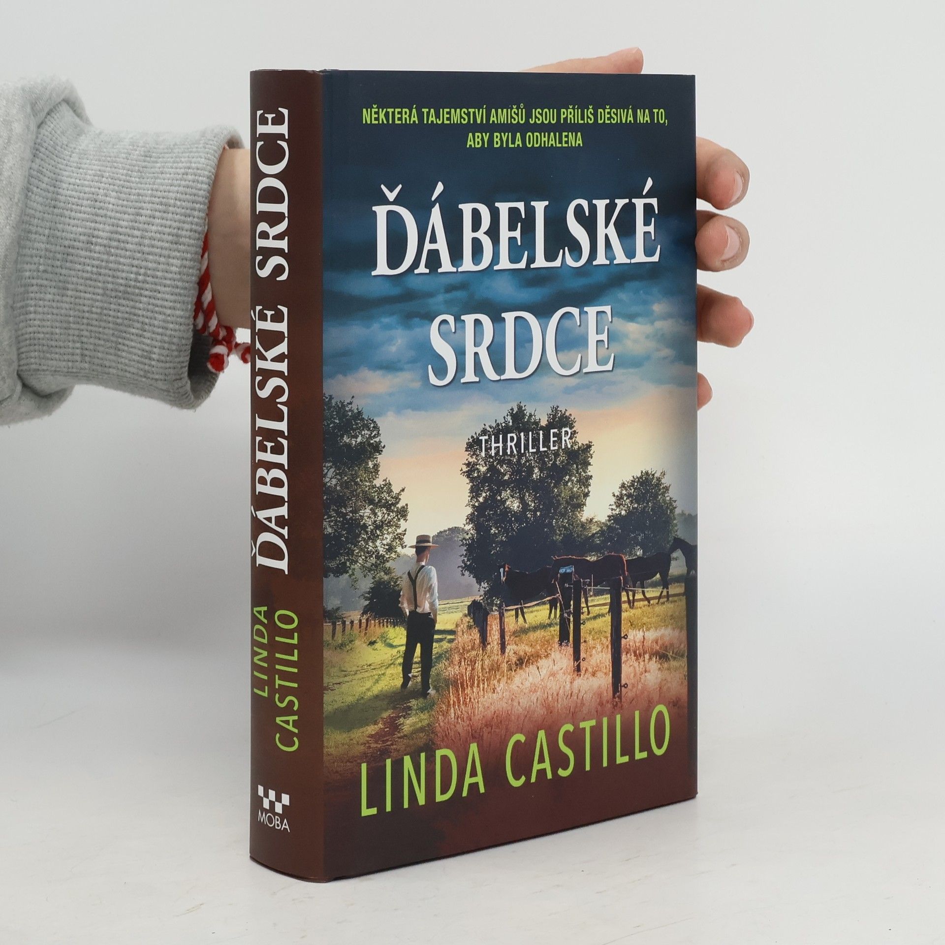 Linda Castillo Ďábelské srdce