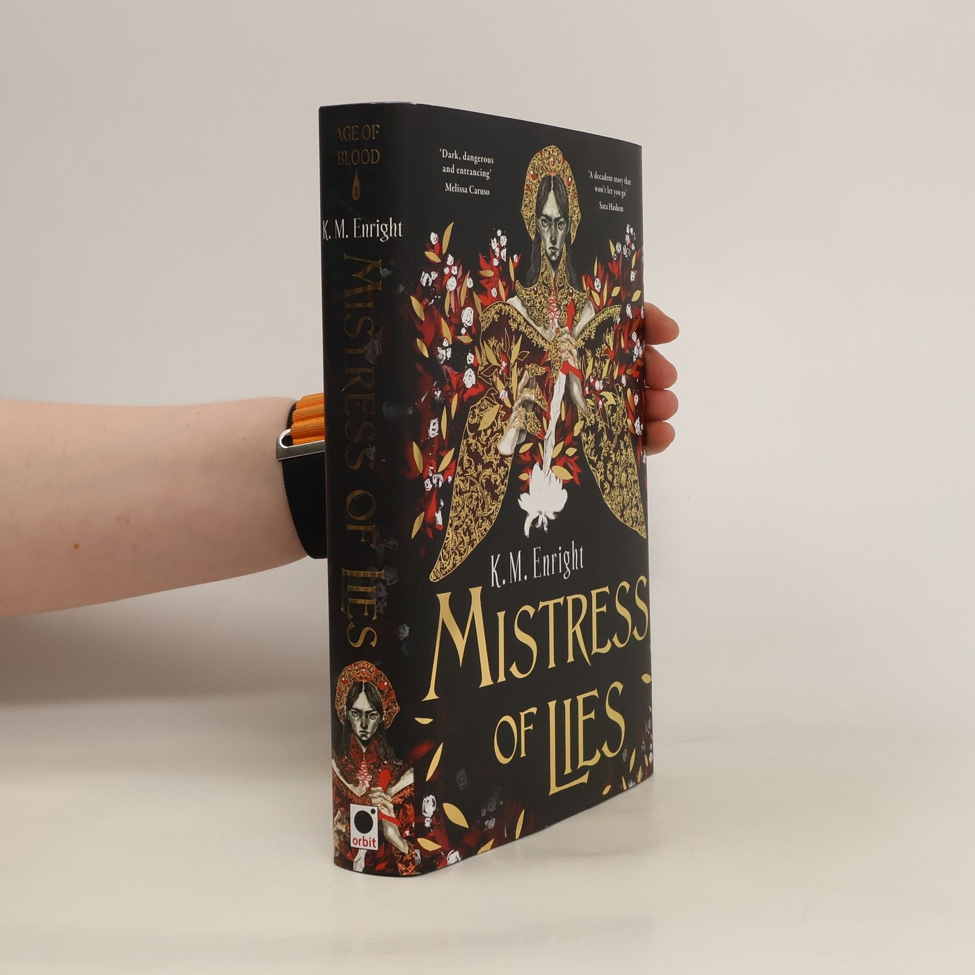 Anne Enright Mistress of Lies