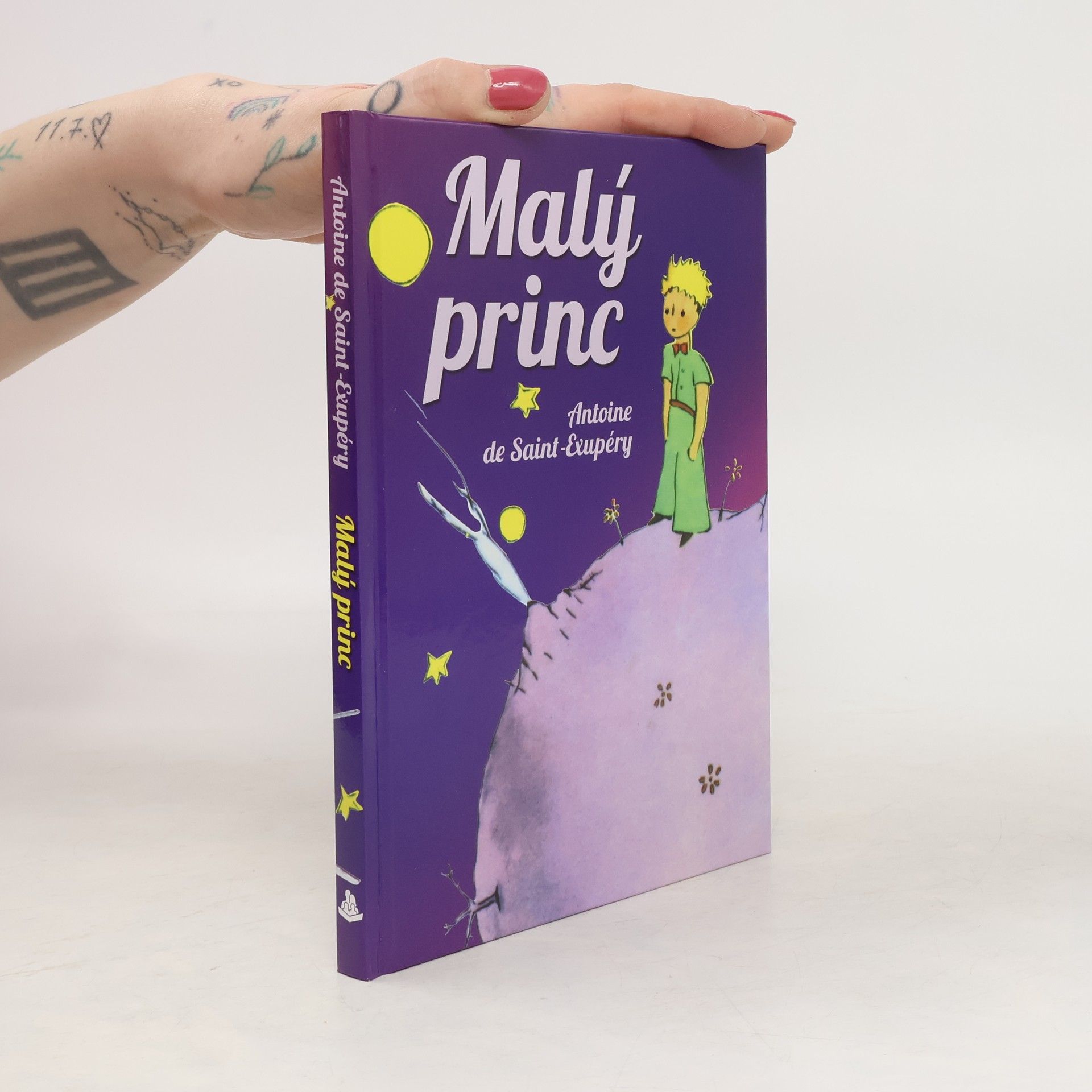 Autorenkollektiv Malý princ