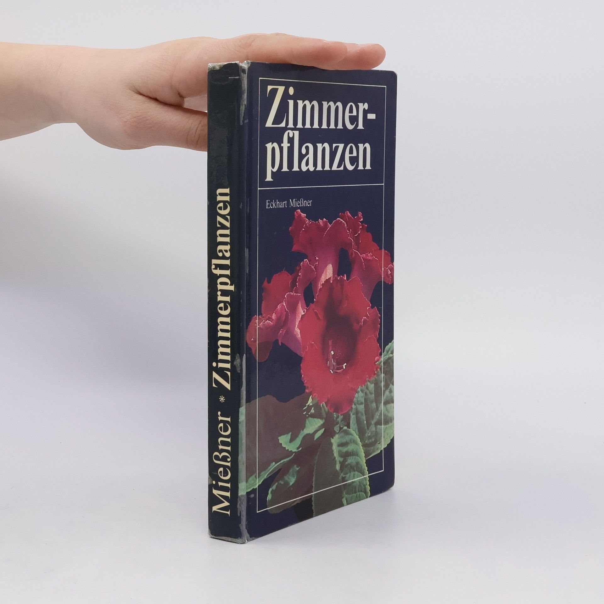 Collectif d'auteurs Zimmerpflanzen