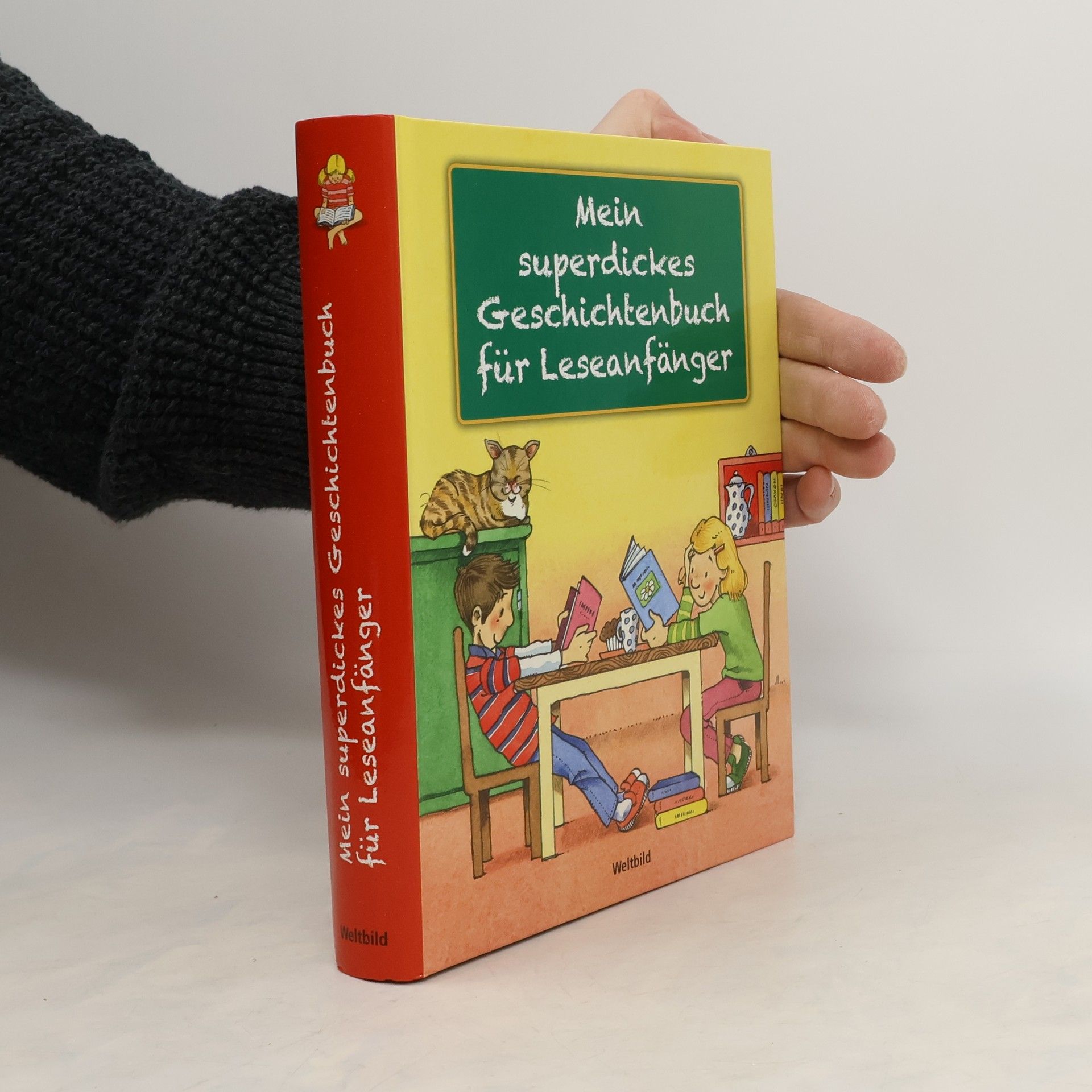 Various authors Mein superdickes Geschichtenbuch für Leseanfänger