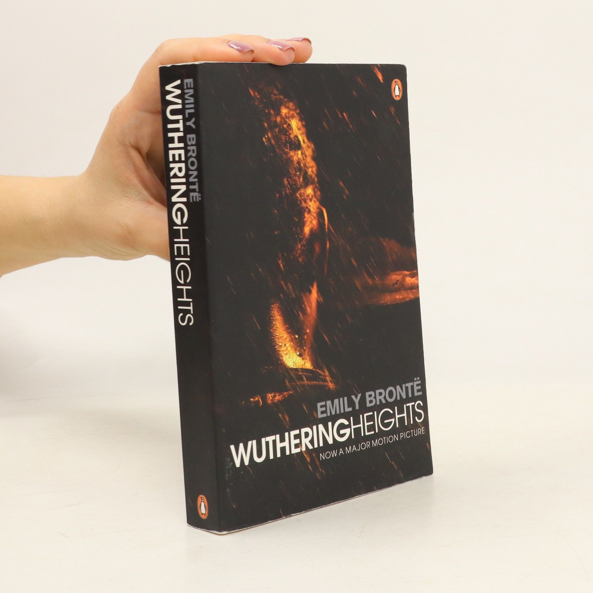 Emily Brontë Wuthering Heights