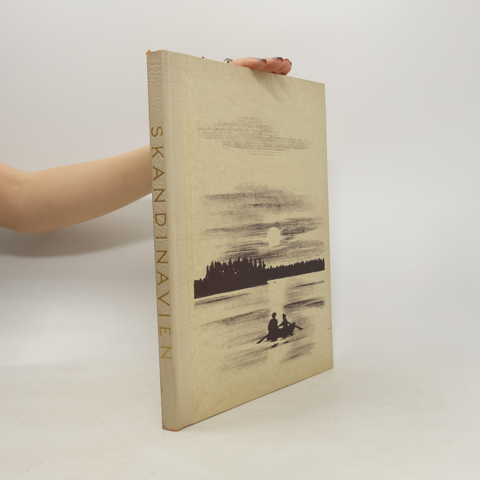 Autorenkollektiv Skandinavien