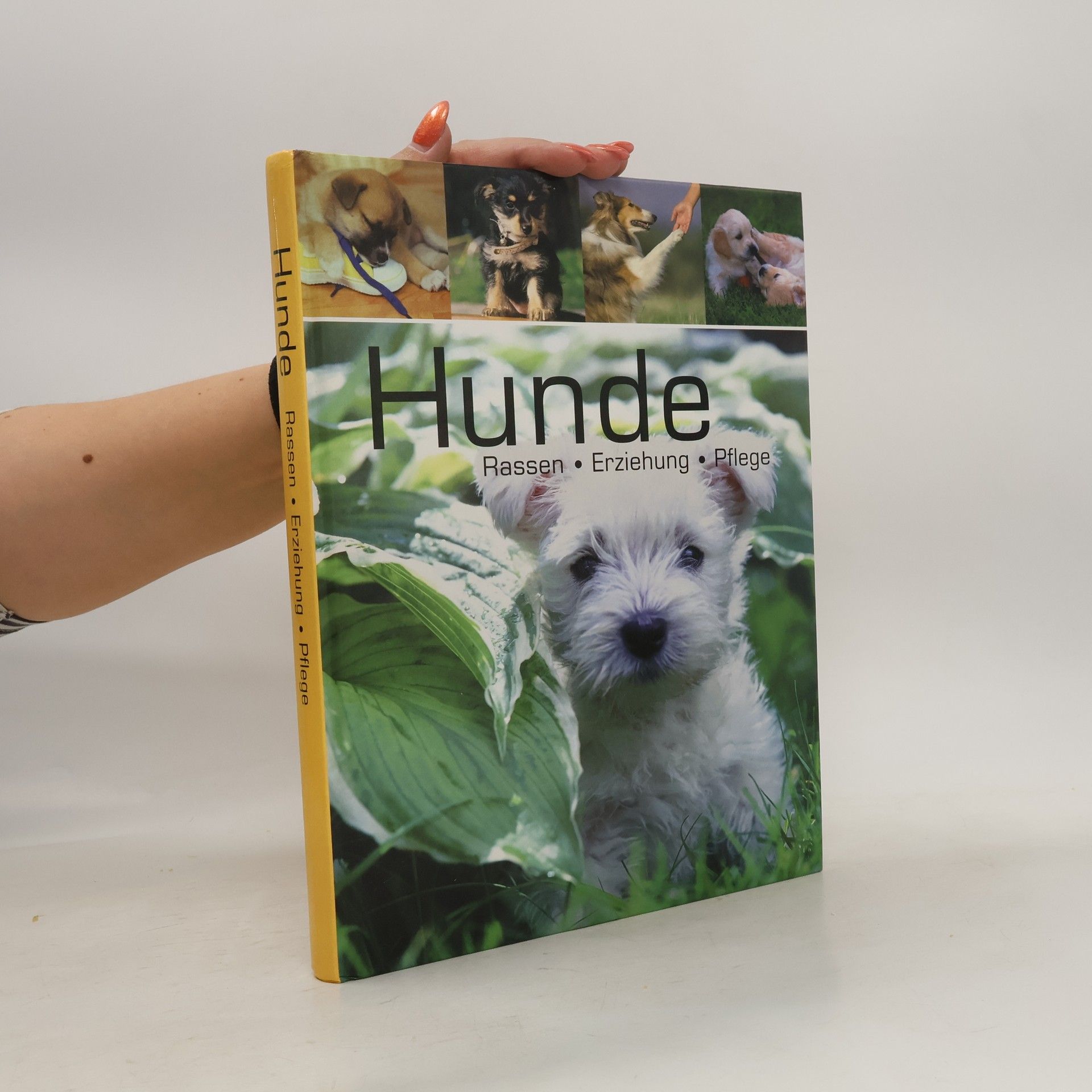 Barbara Willms Hunde