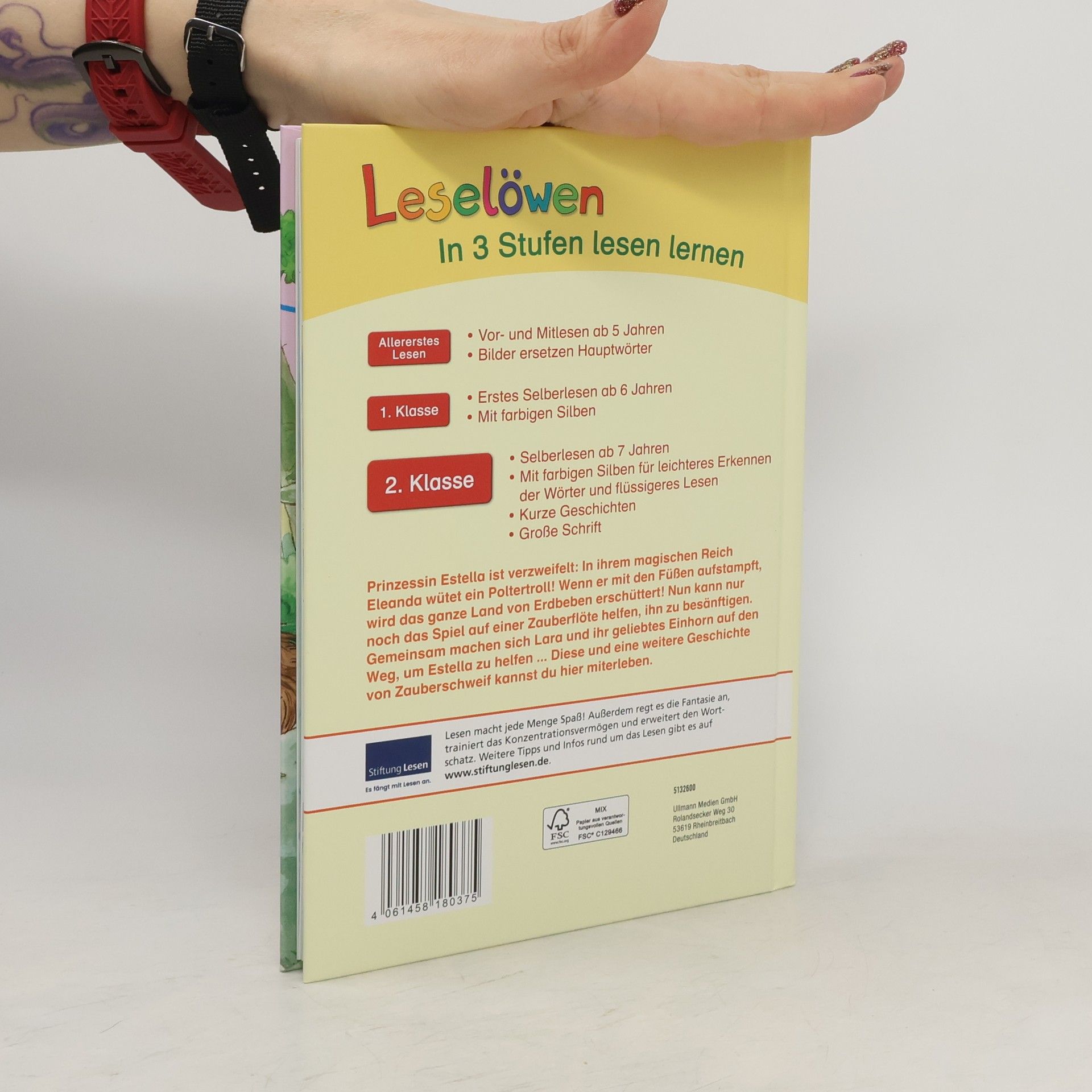 Autores varios Leselöwen. Geschichten von Zauberschweif