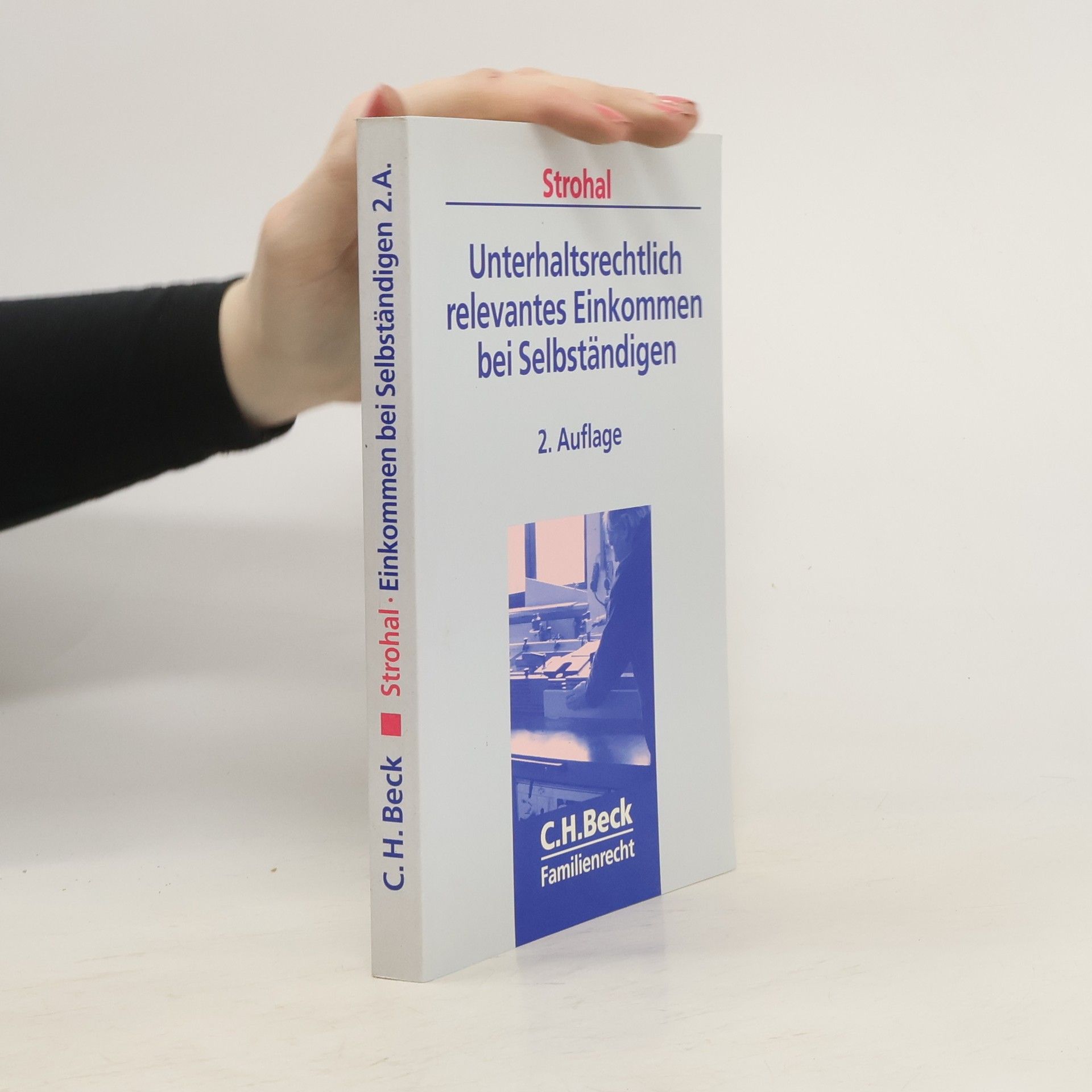 Friedrich Strohal Unterhaltsrechtlich relevantes Einkommen bei Selbständigen