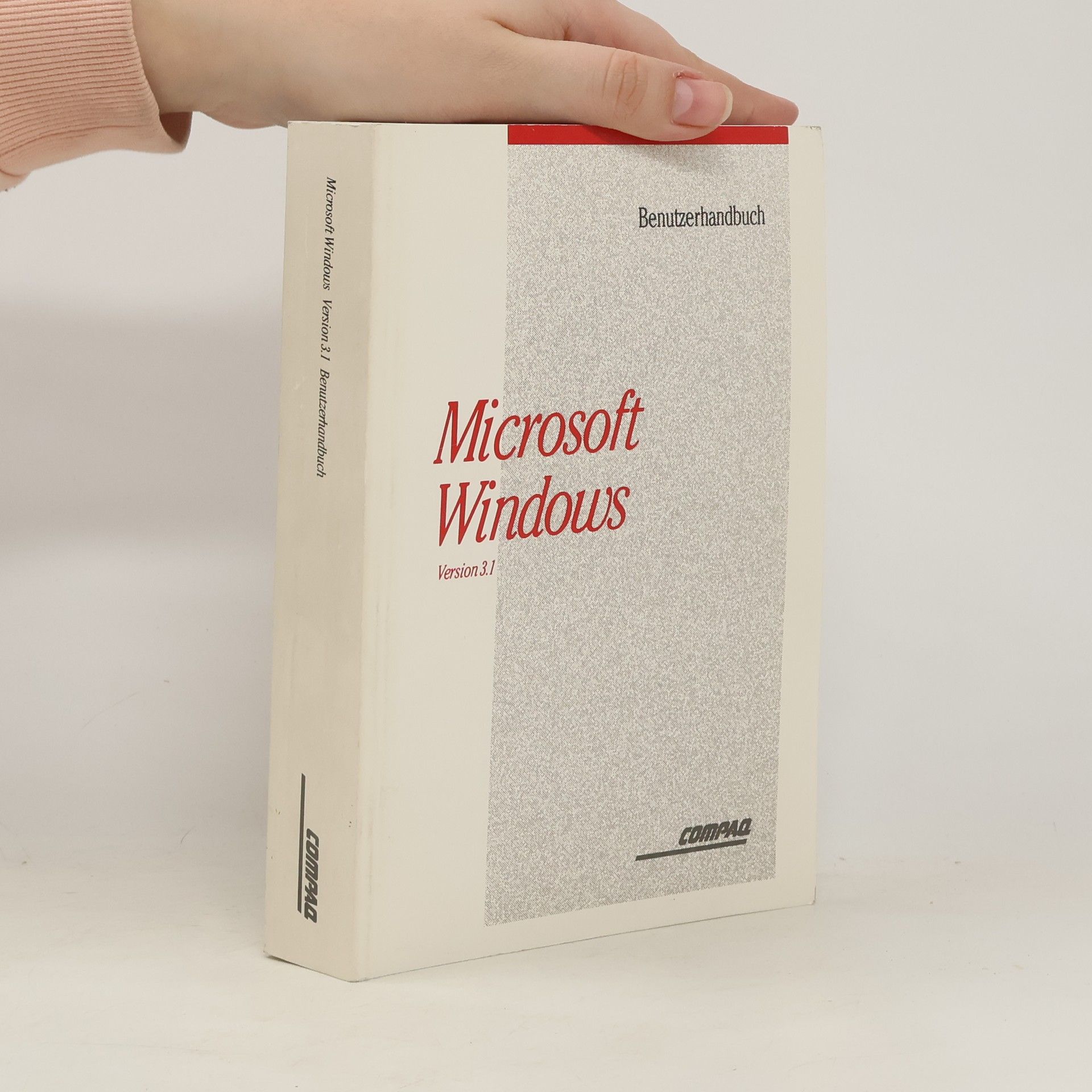 kolektiv Microsoft Windows. Version 3.1