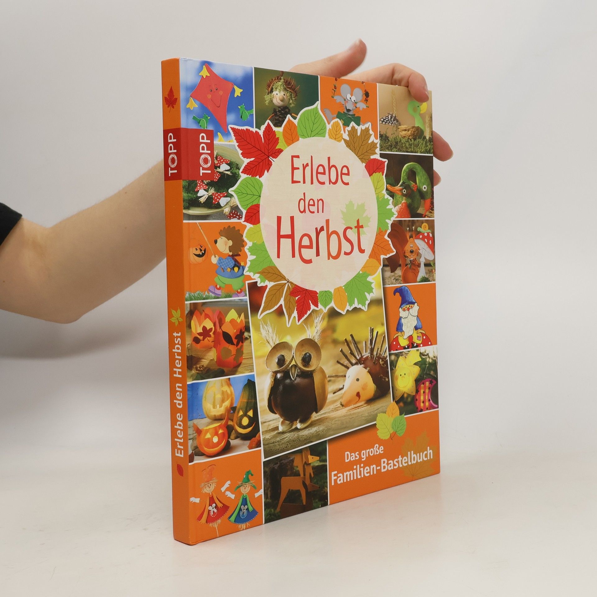 Autorenkollektiv Erlebe den Herbst