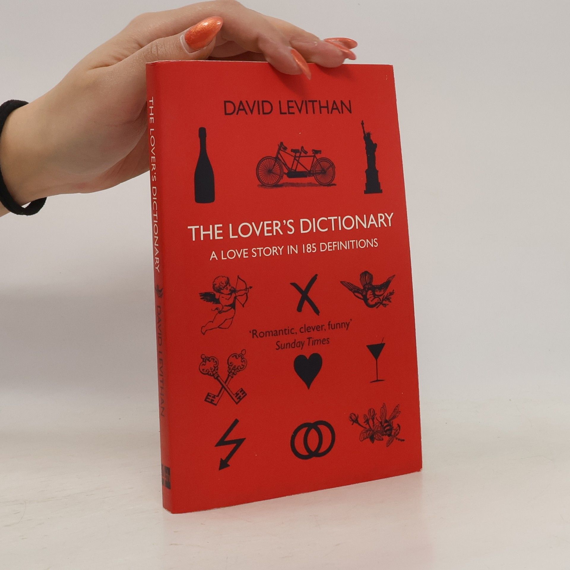 David Levithan The Lover's Dictionary. Das Wörterbuch der Liebenden, englische Ausgabe