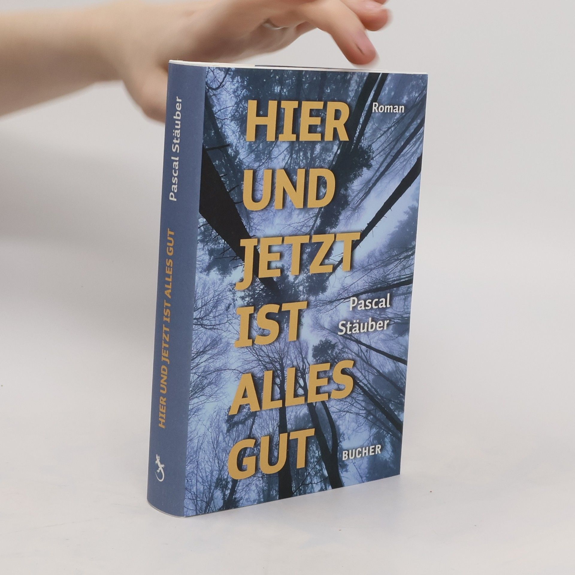Pascal Stäuber Hier und jetzt ist alles gut