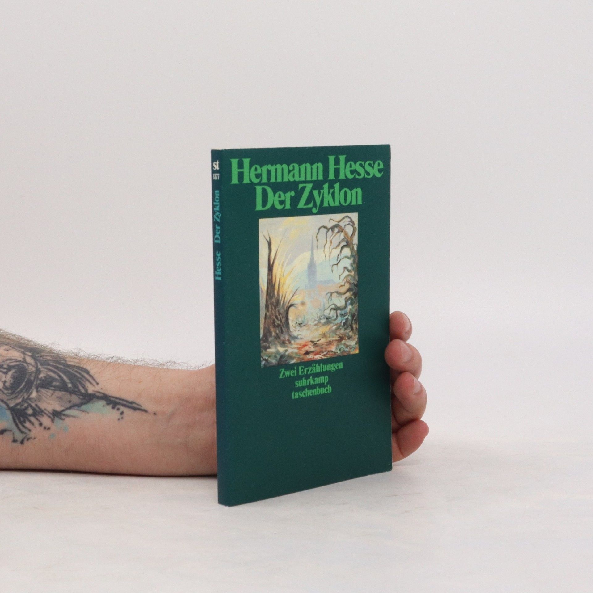 Hermann Hesse Der Zyklon