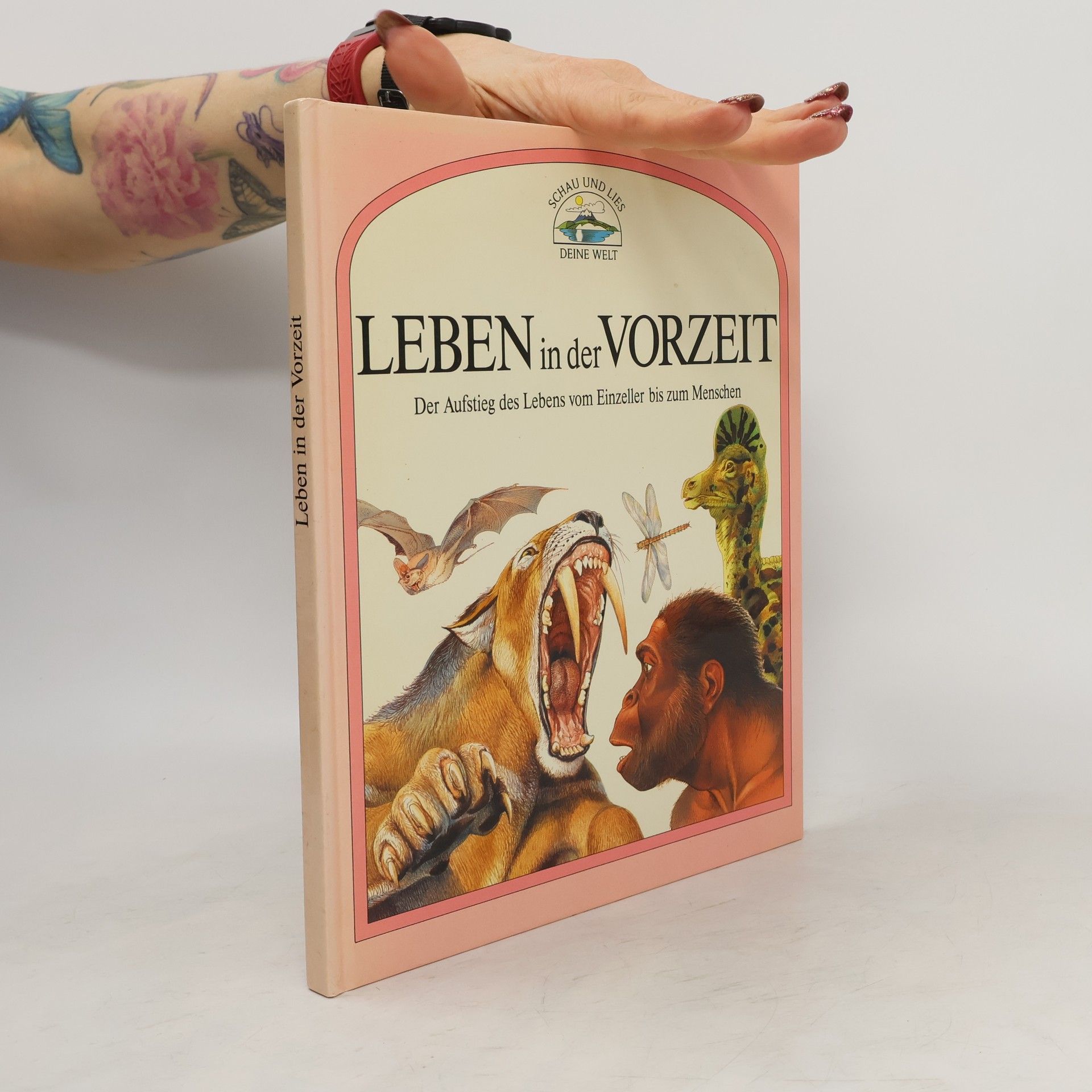 Autorenkollektiv Leben in der Vorzeit