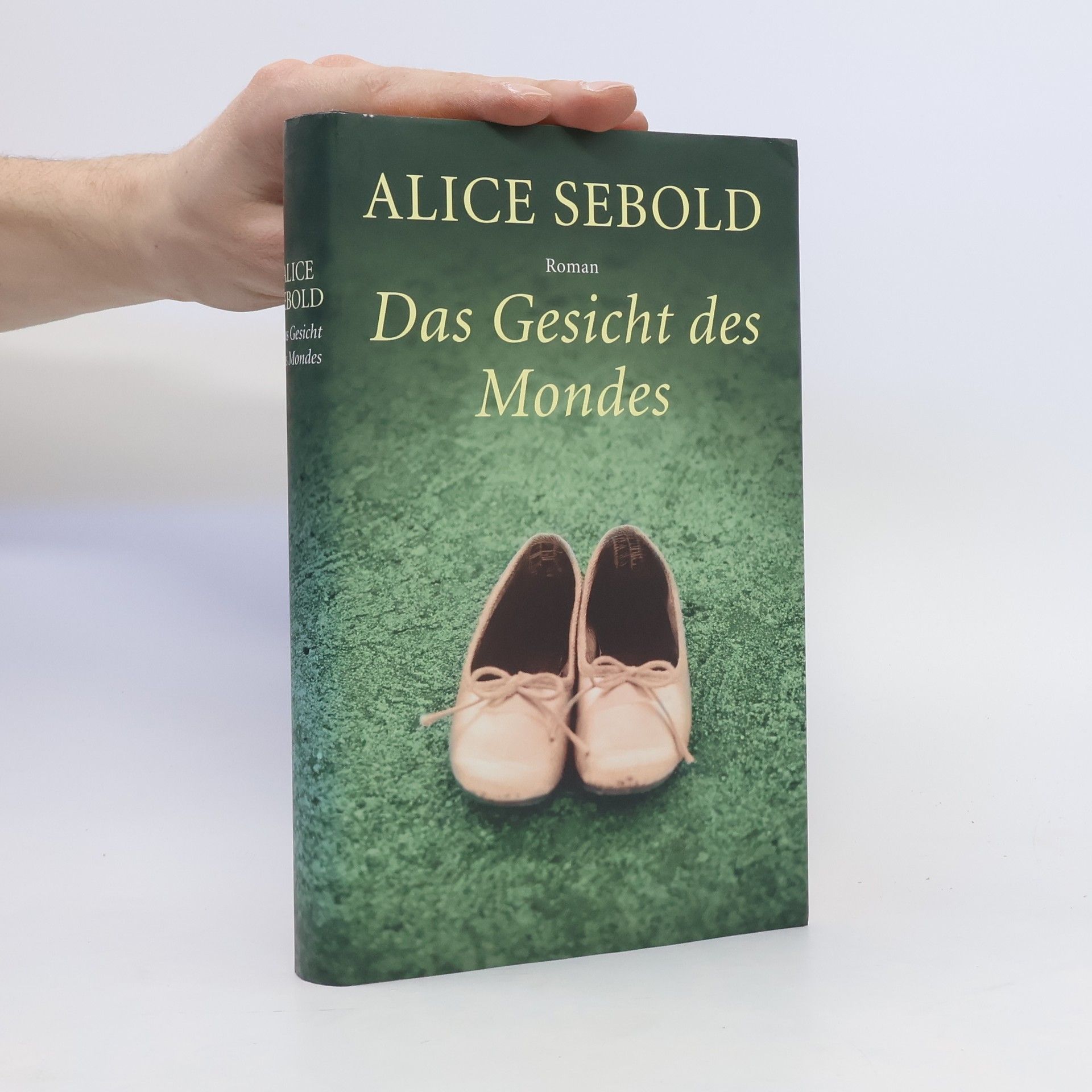 Alice Sebold Das Gesicht des Mondes