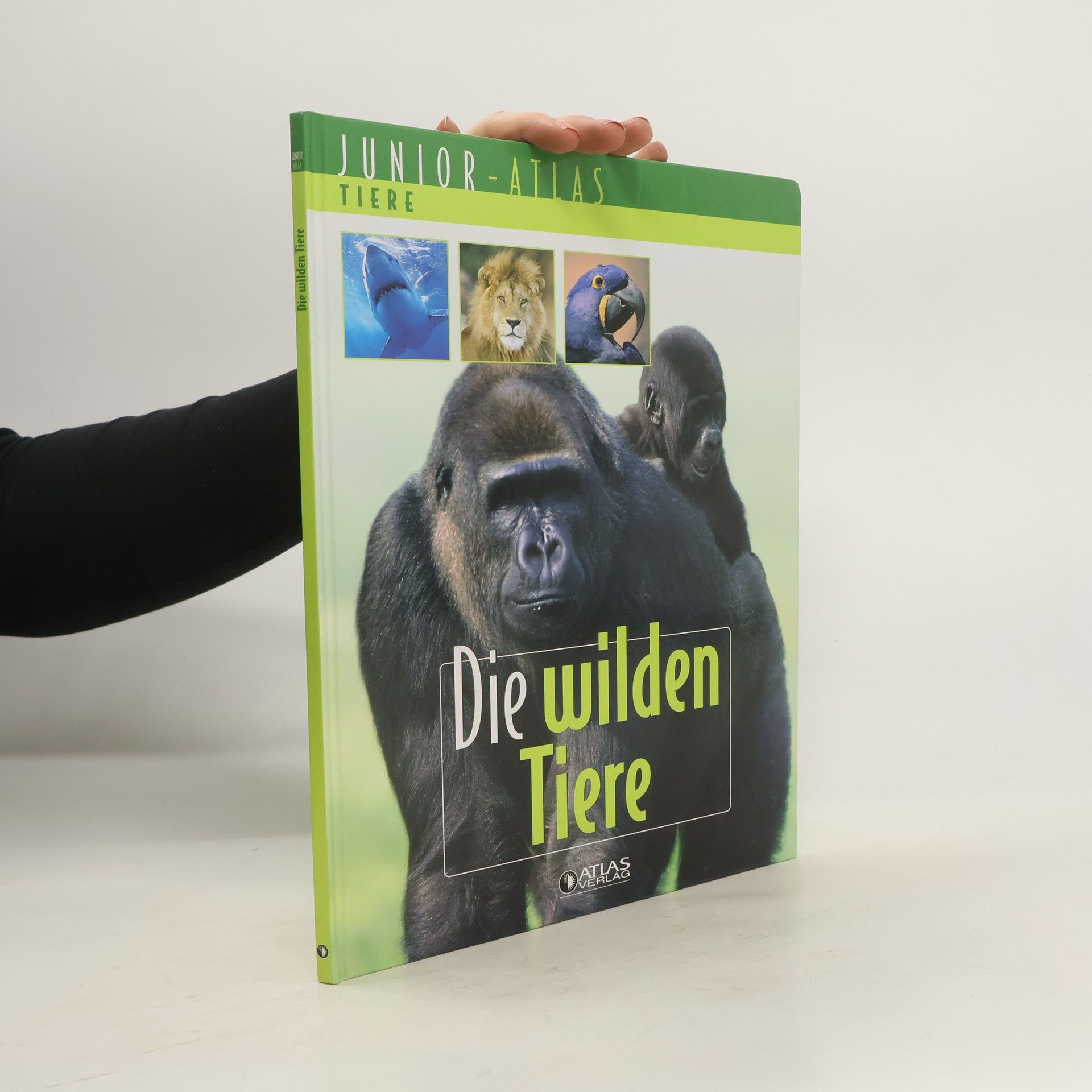 Autorenkollektiv Die wilden Tiere