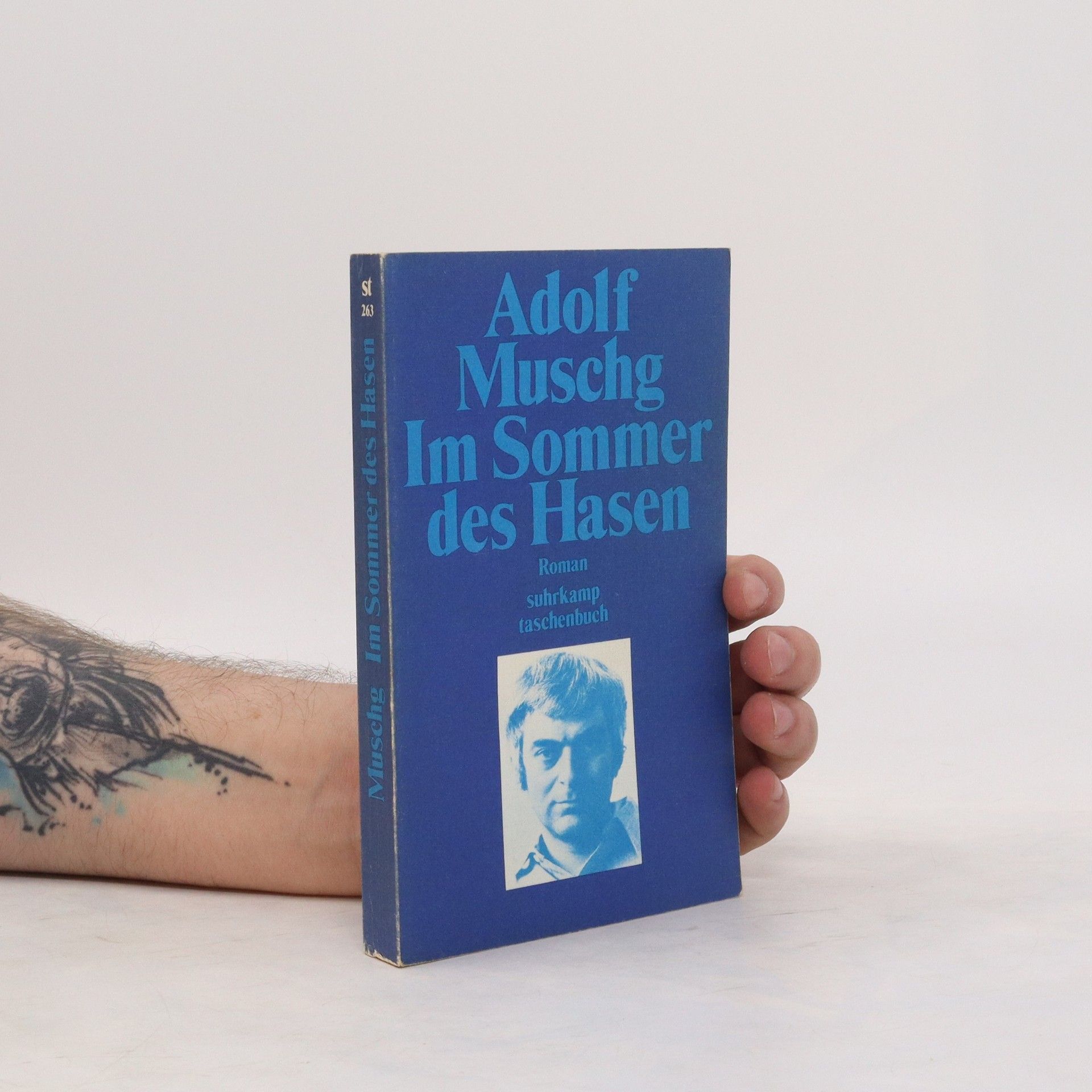 Adolf Muschg Im Sommer des Hasen