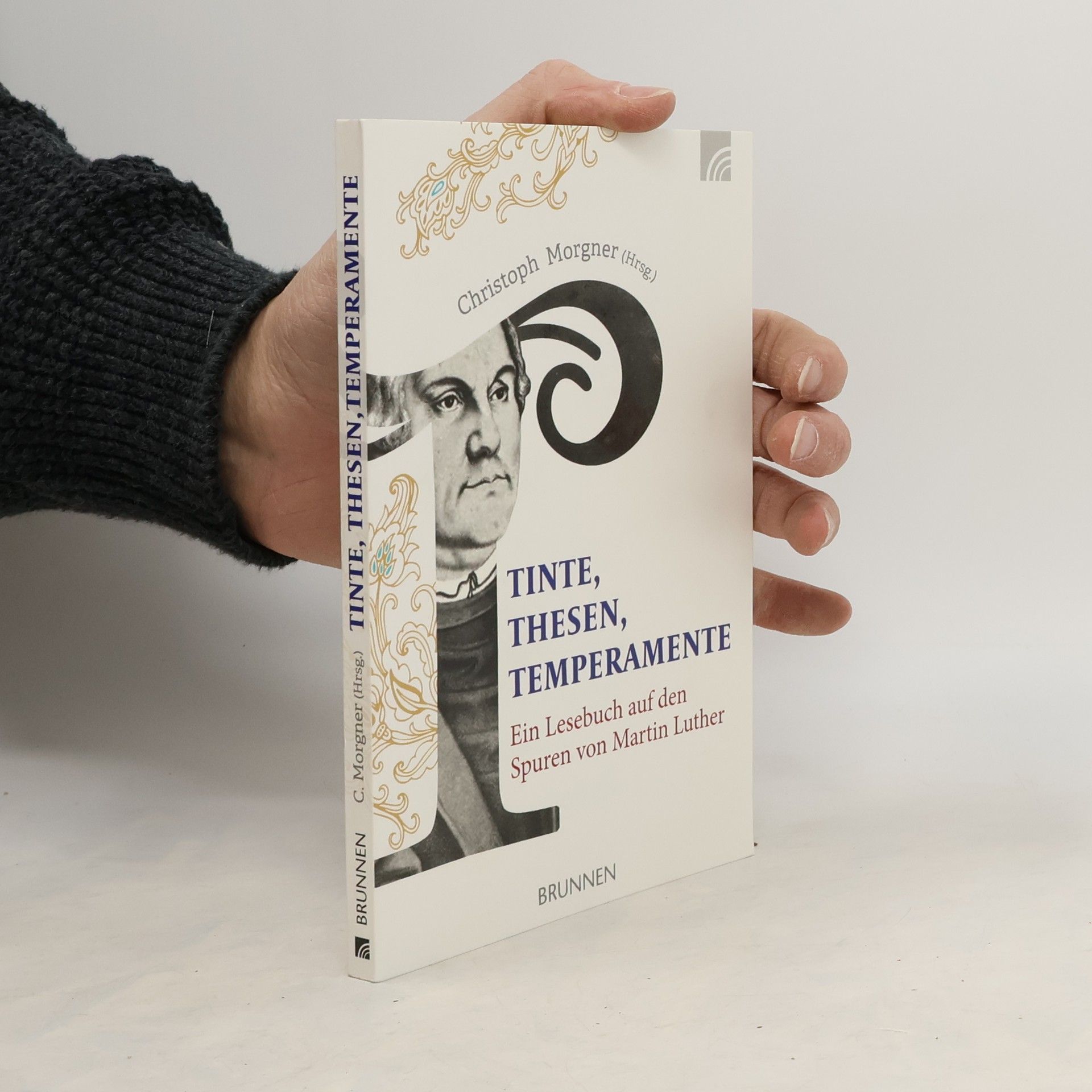 Christoph Morgner Tinte, Thesen, Temperamente