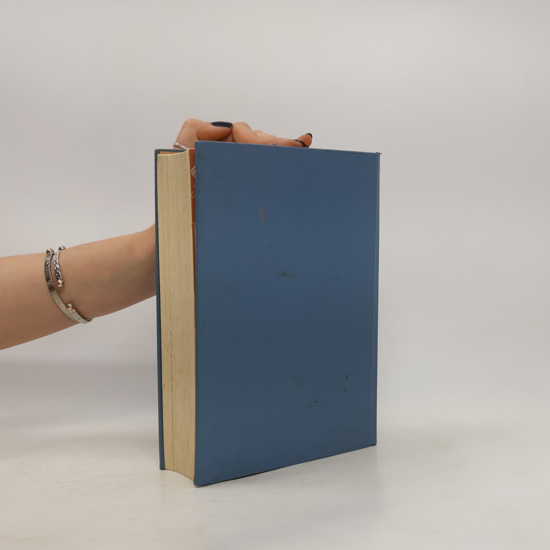 Frederik Zietzschmann Das Grosse Kochbuch