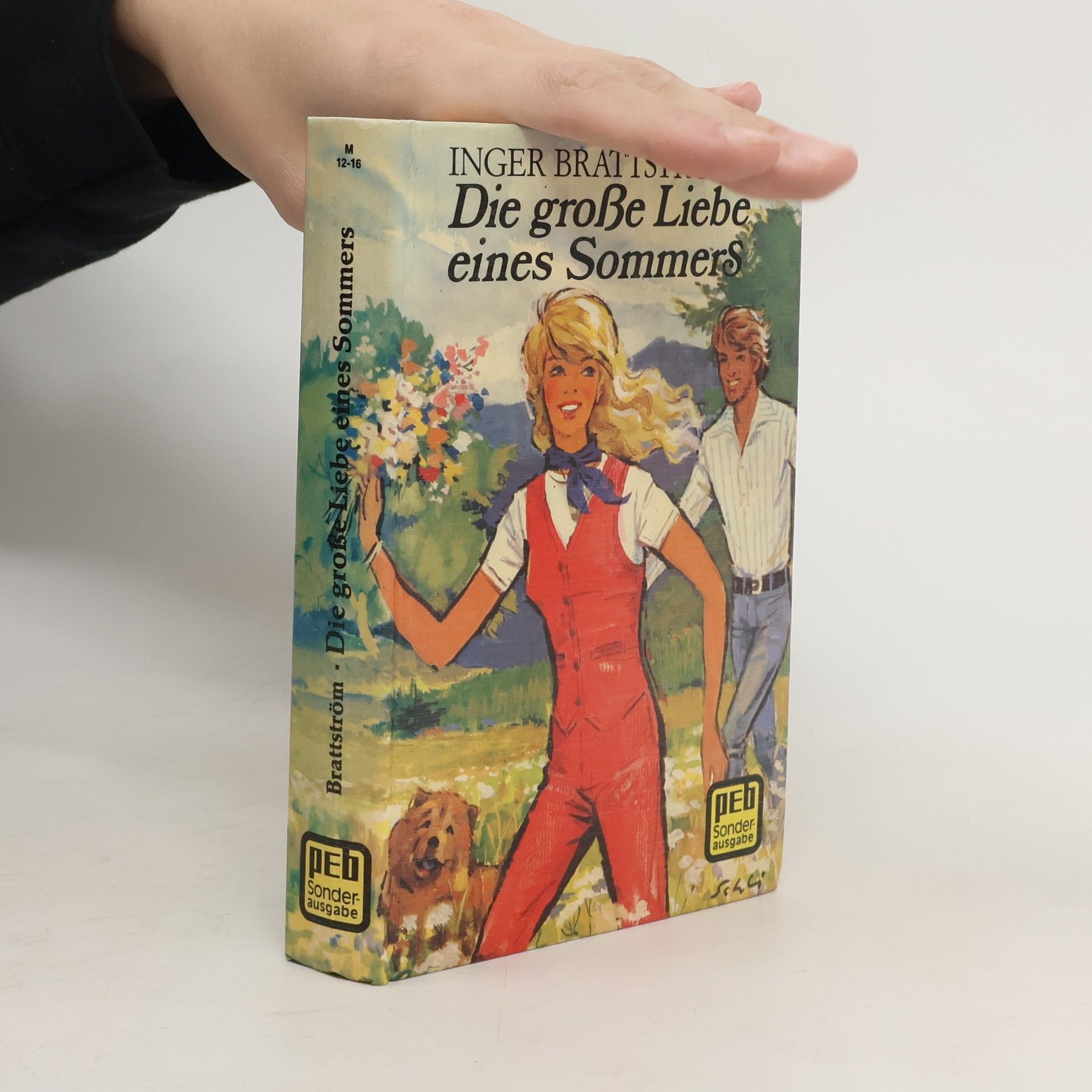 Inger Brattström Die grosse Liebe eines Sommers