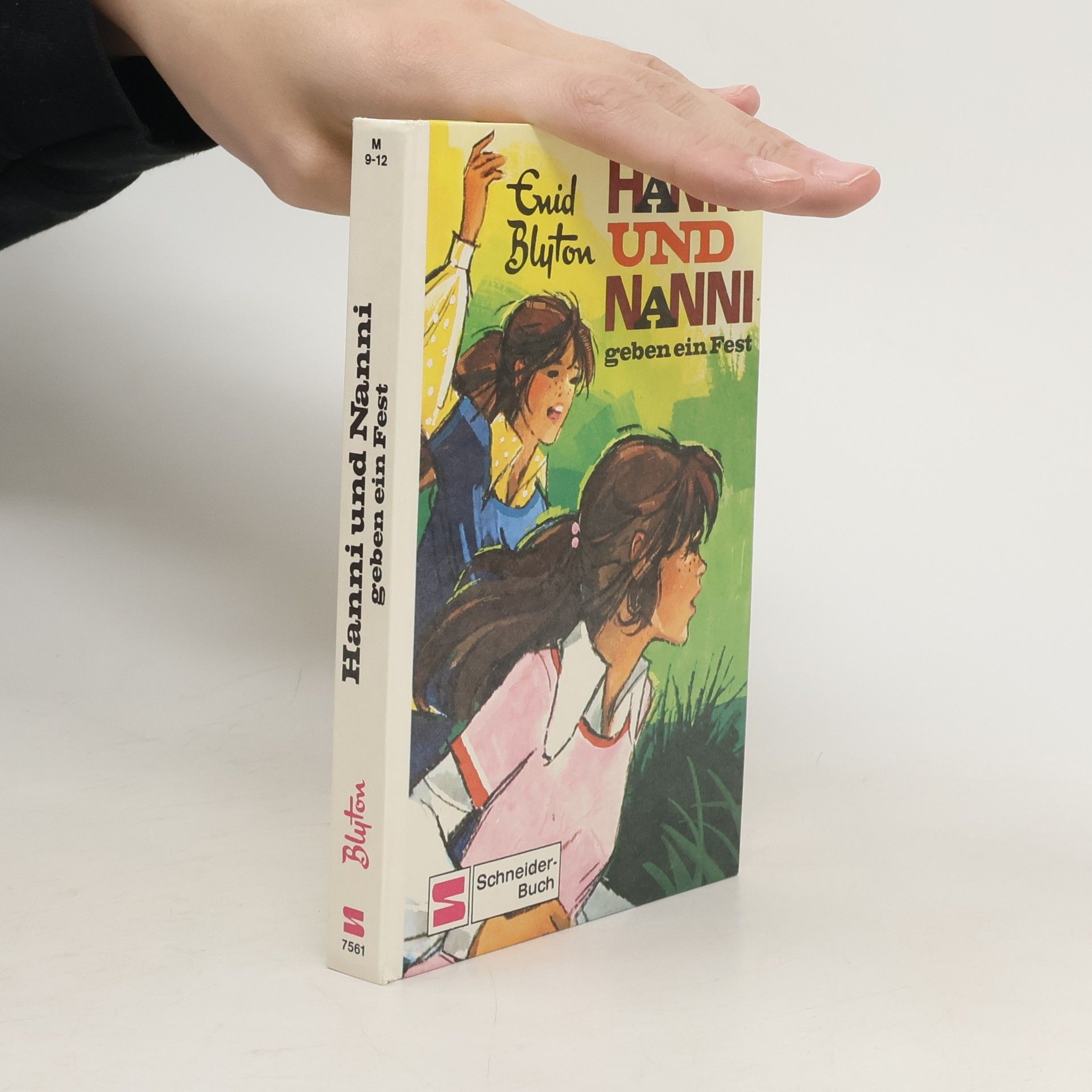 Enid Blyton Hanni und Nanni in tausend Nöten