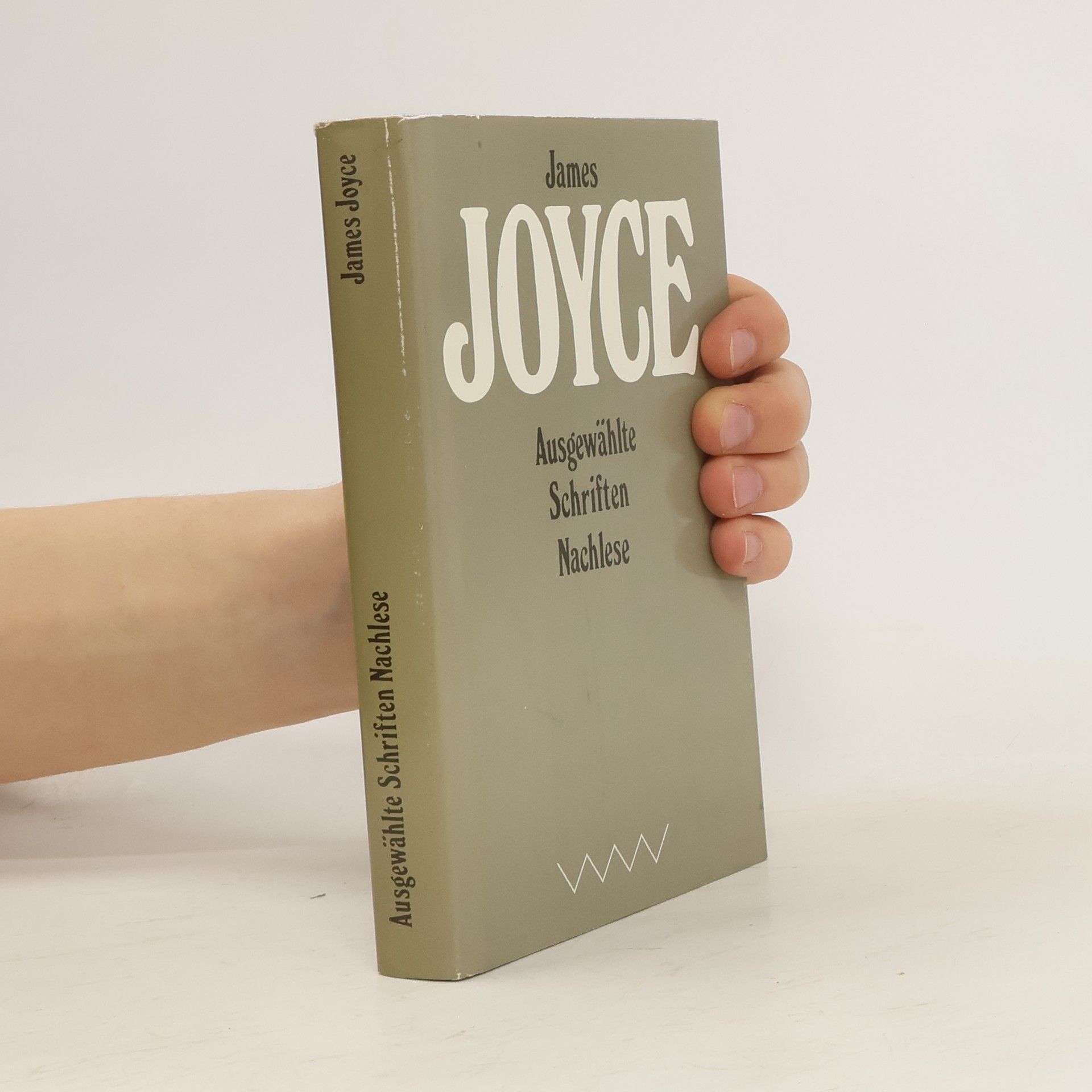 James Joyce Ausgewählte Schriften Nachlese