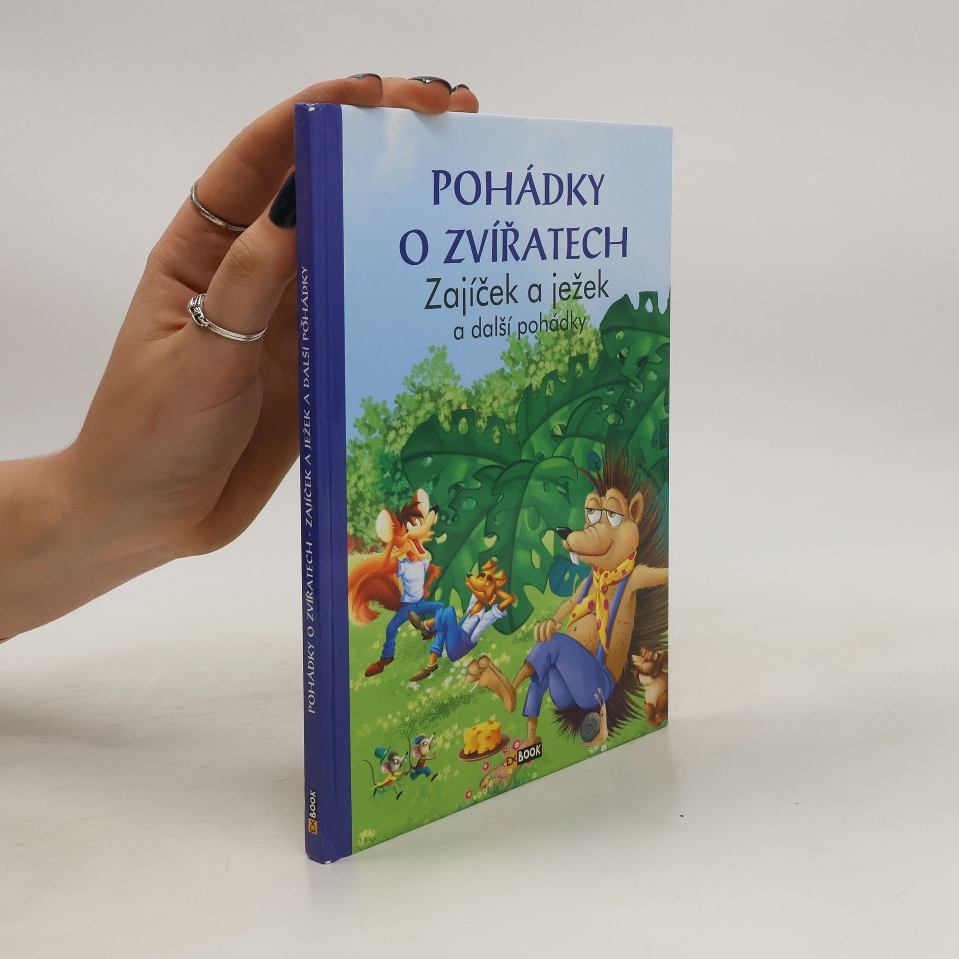 Auteurscollectief Zajíček a ježek a další pohádky