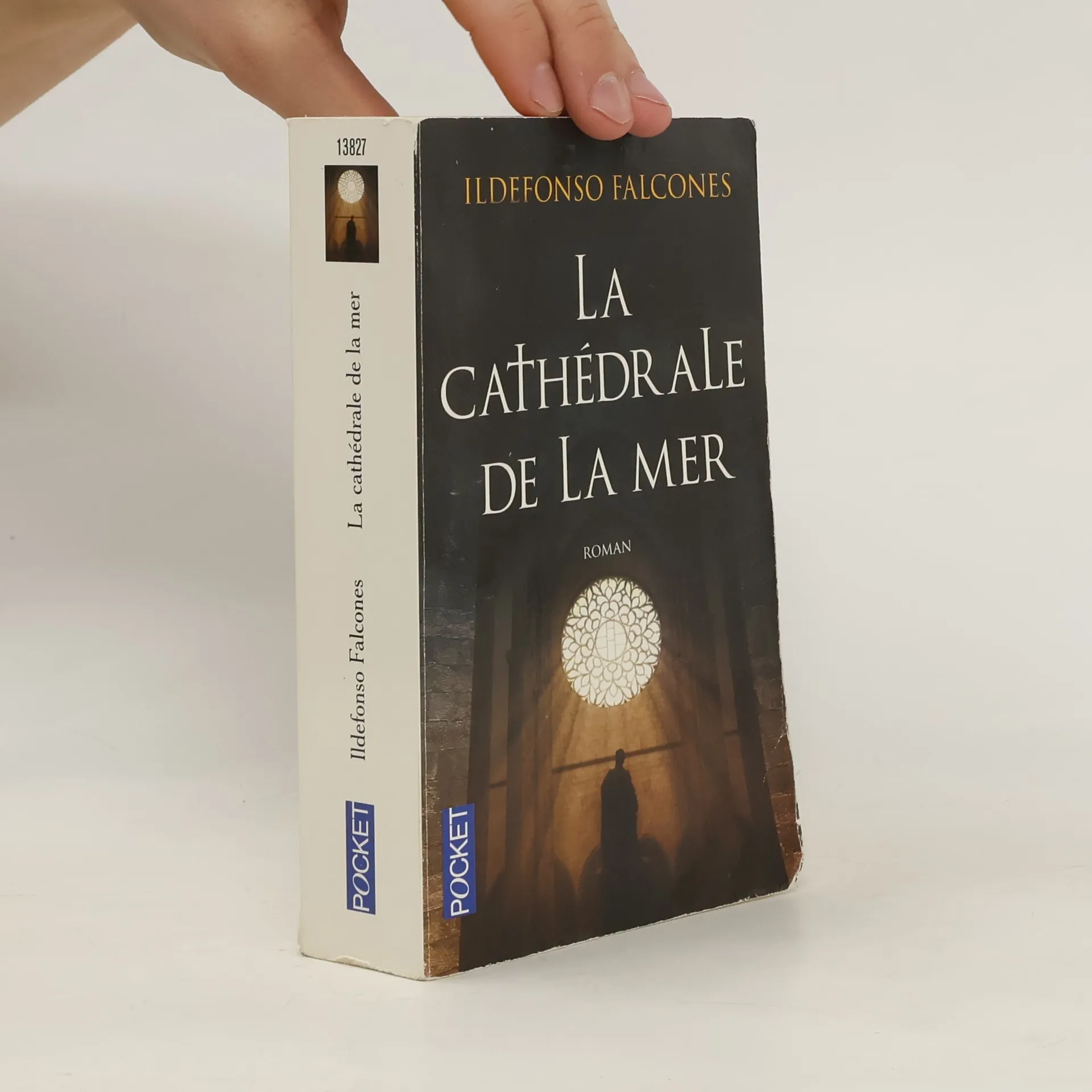La cathédrale de la mer | Libro | Ildefonso Falcones | FR