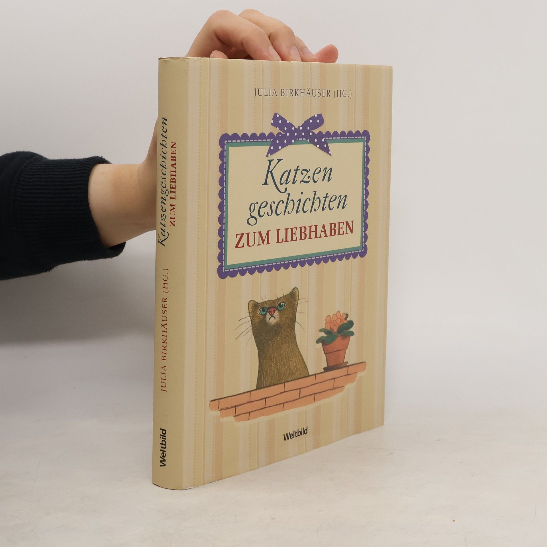 Julia Birkhäuser Katzengeschichten zum Liebhaben