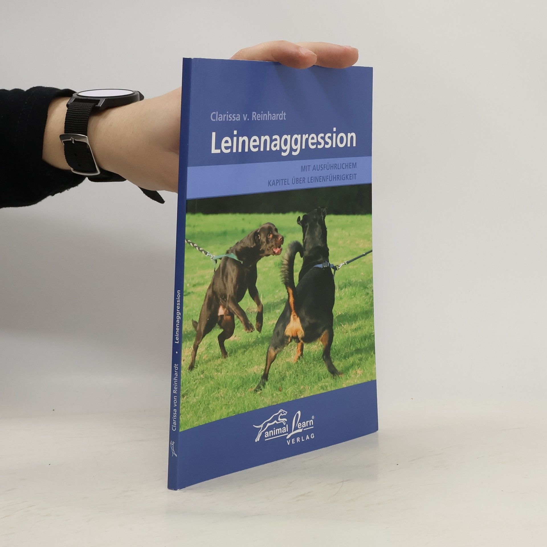 Clarissa Reinhardt Leinenaggression