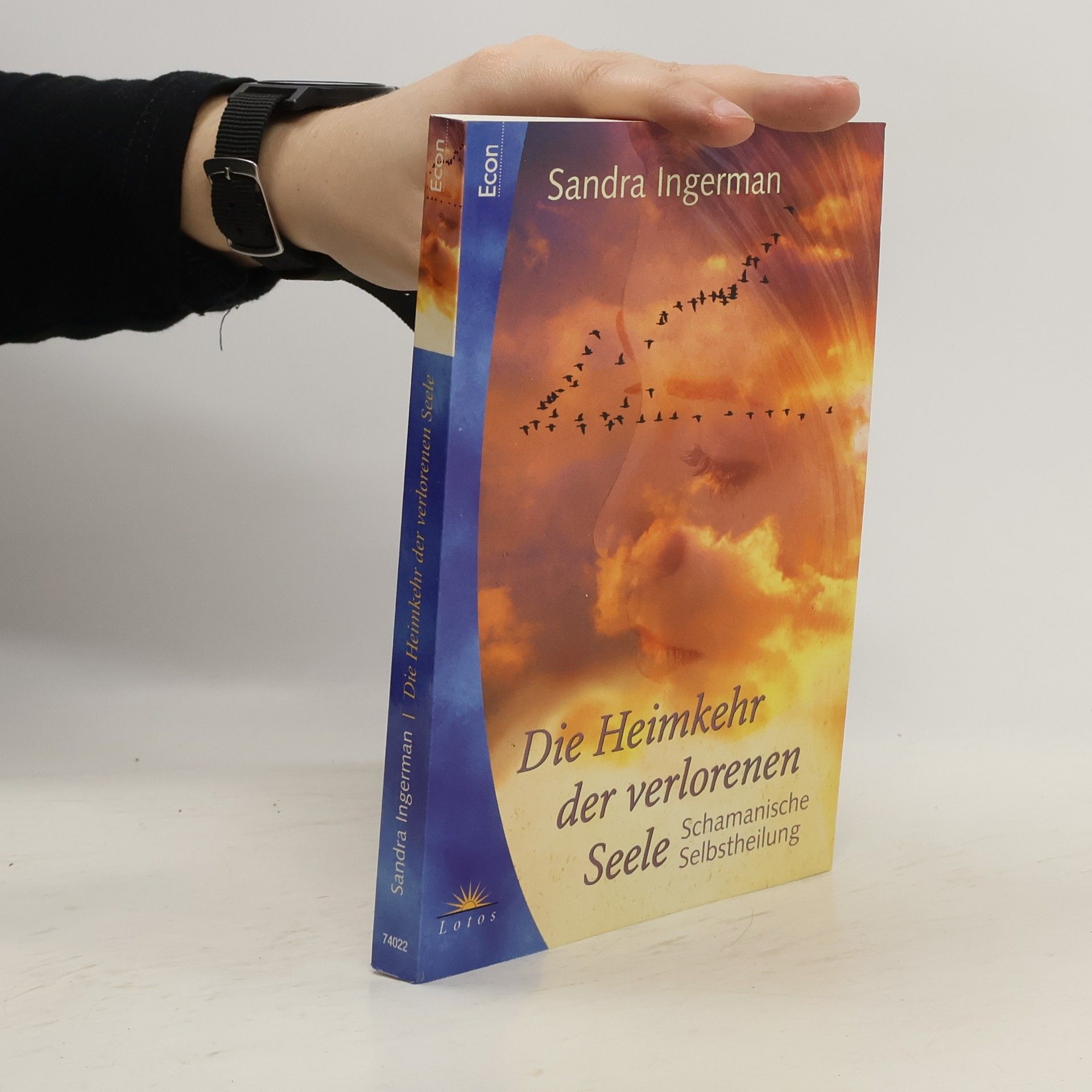 Sandra Ingerman Die Heimkehr der verlorenen Seelen