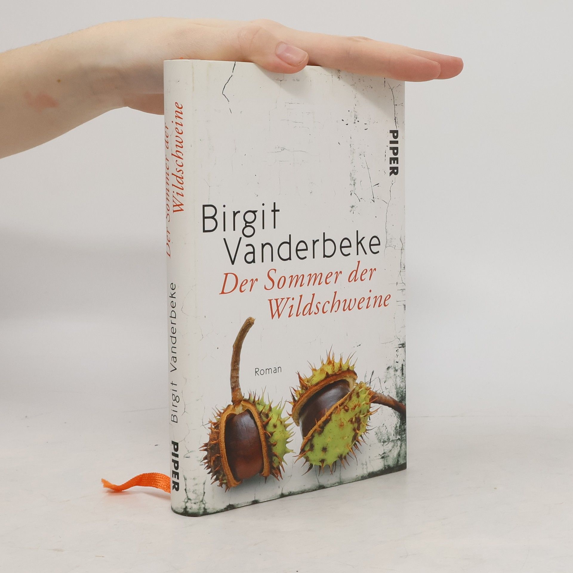 Birgit Vanderbeke Der Sommer der Wildschweine