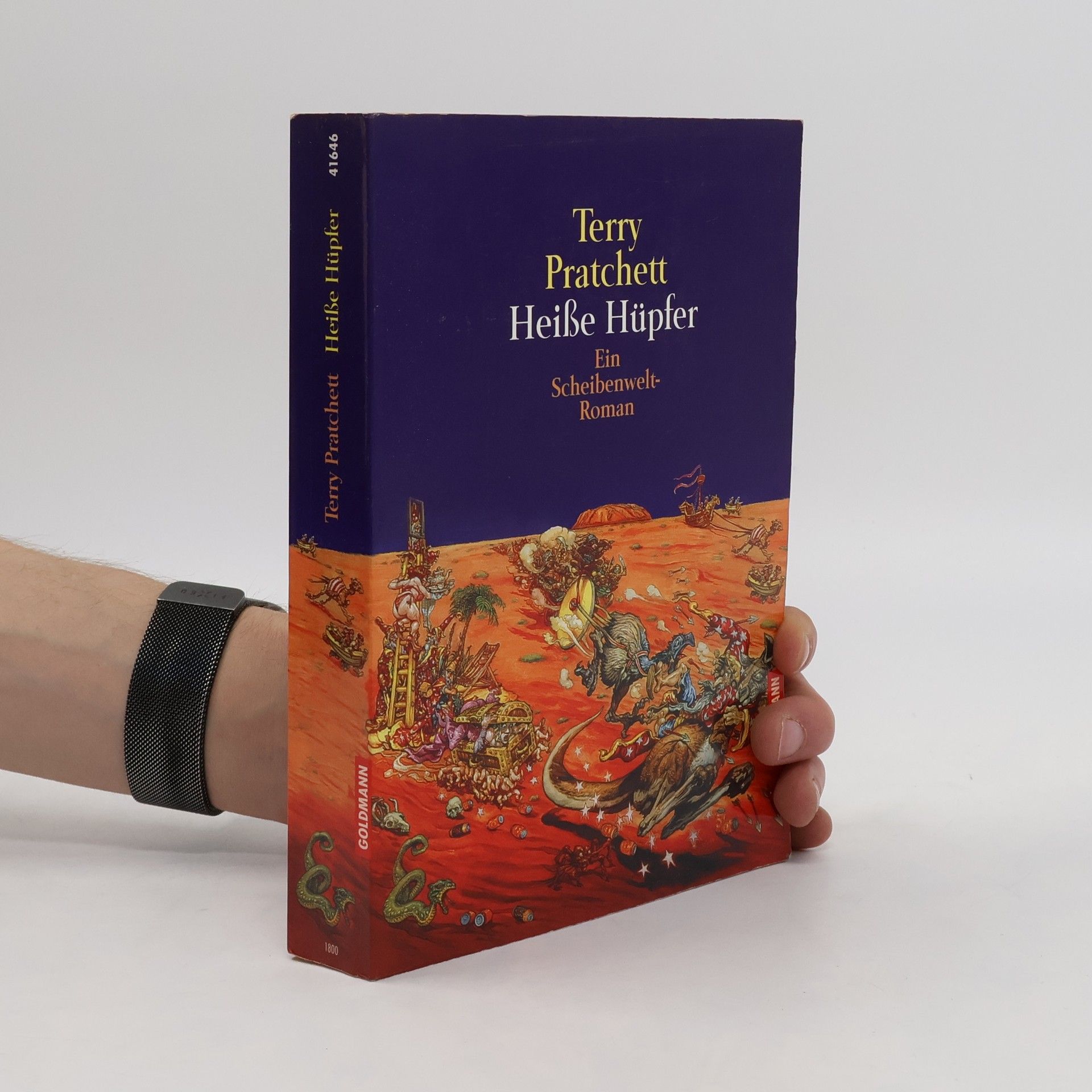 Terry Pratchett Heiße Hüpfer