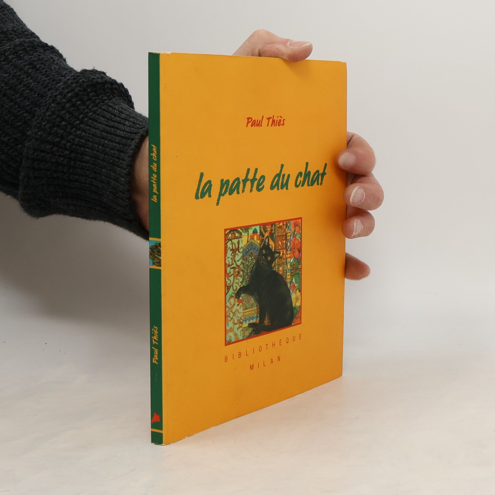 Paul Thiès La patte du chat