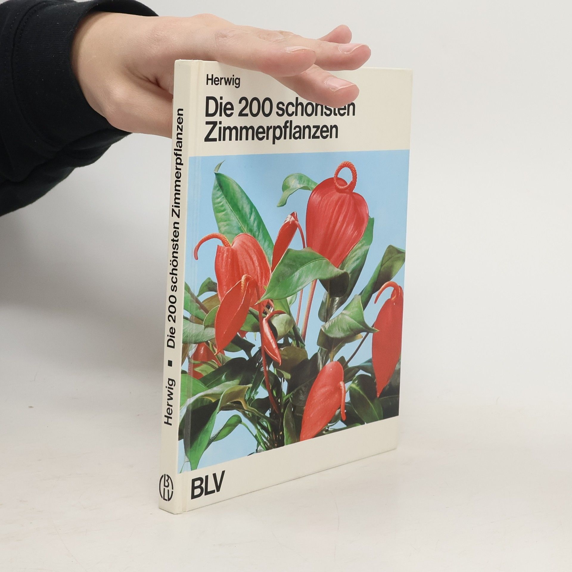 Autorenkollektiv Die 200 schönsten Zimmerpflanzen