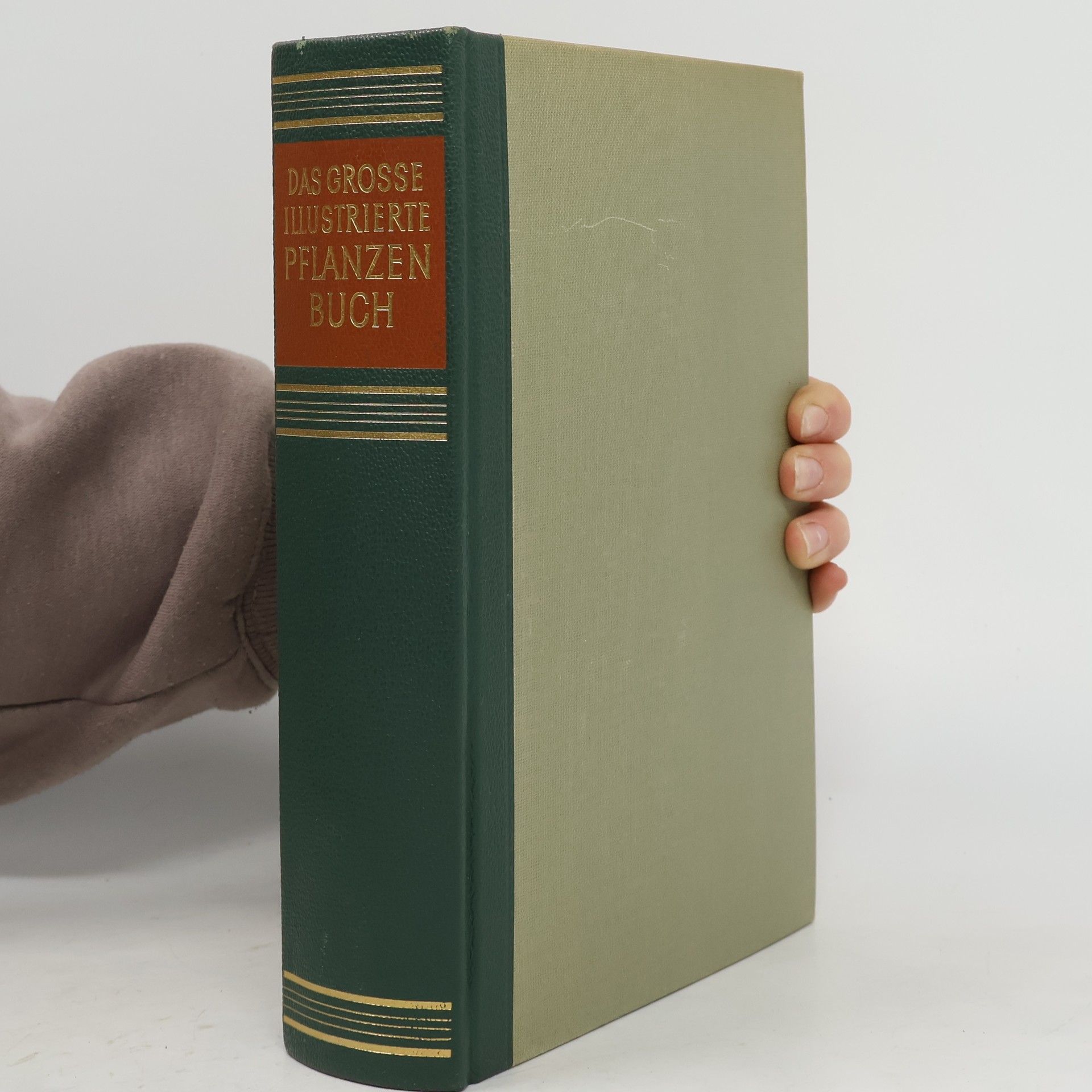 Collectif d'auteurs Das grosse illustrierte Pflanzenbuch