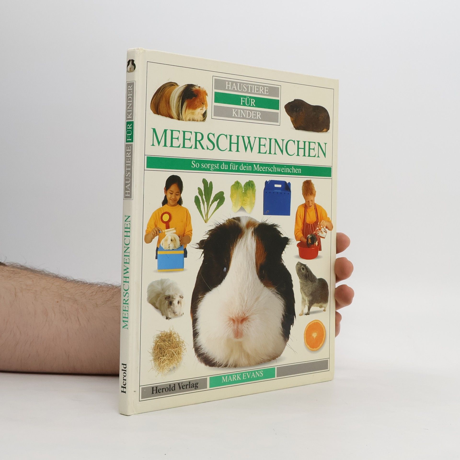 Autorenkollektiv Haustiere für Kinder. Meerschweinchen
