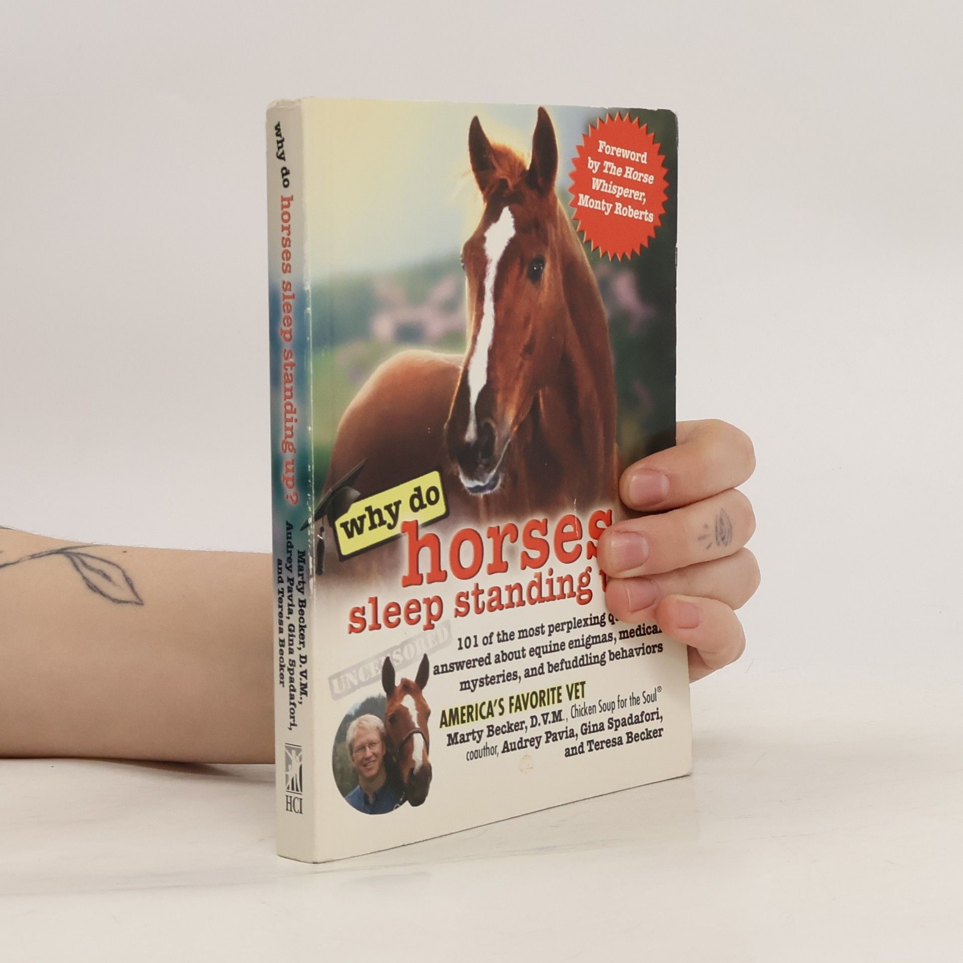 Marty Becker Why Do Horses Sleep Standing Up?
