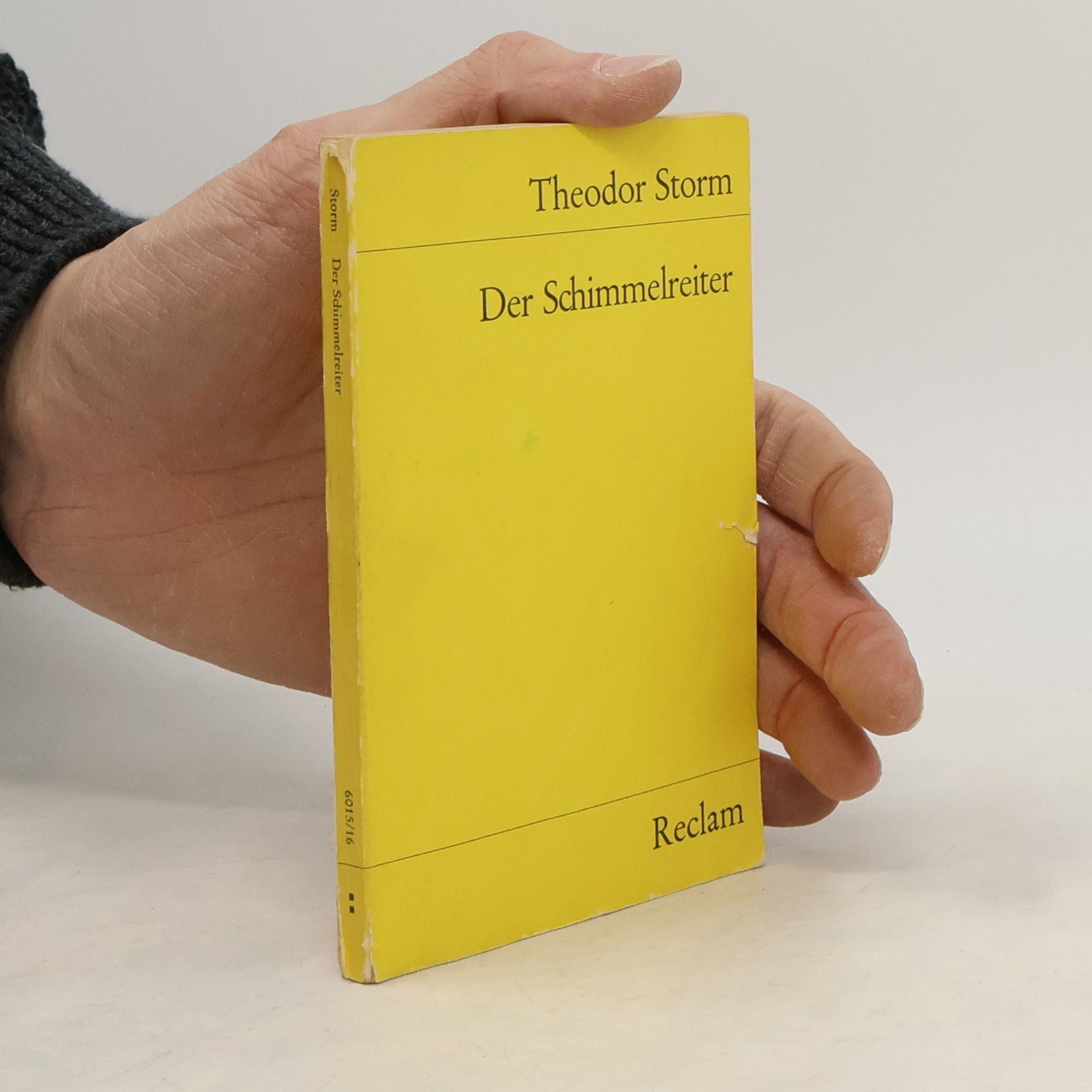 Theodor Storm Der Schimmelreiter
