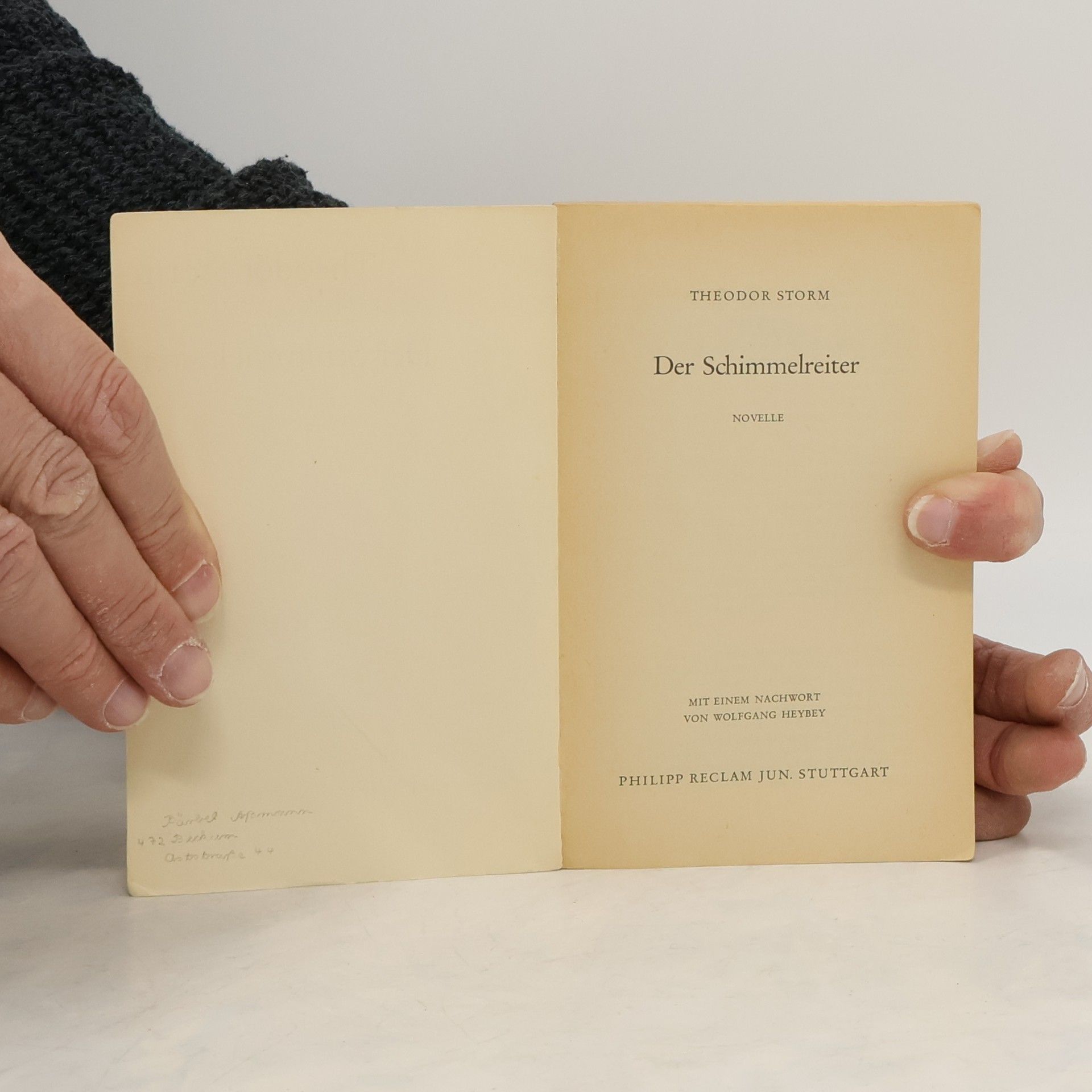 Theodor Storm Der Schimmelreiter