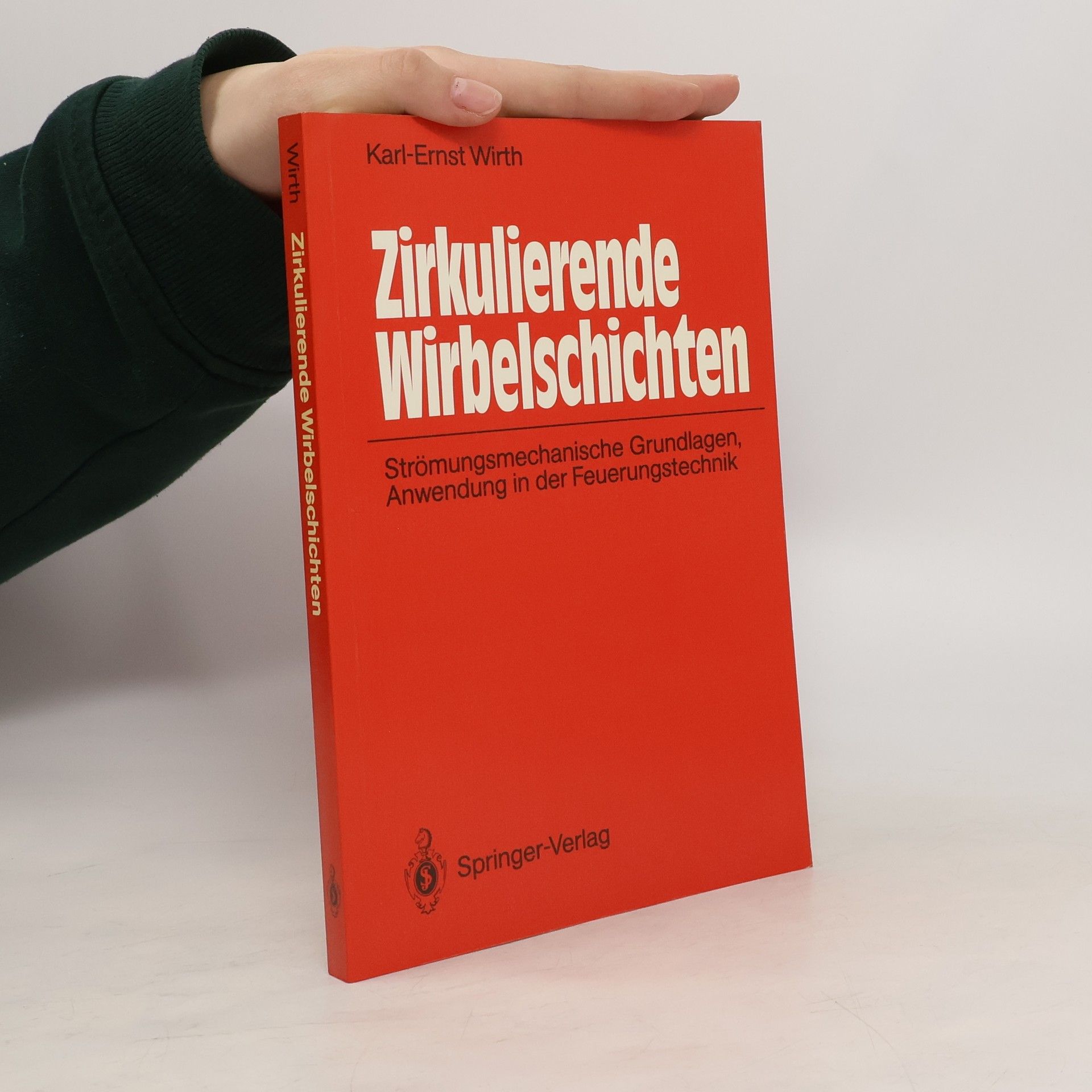 Karl-Ernst Wirth Zirkulierende Wirbelschichten