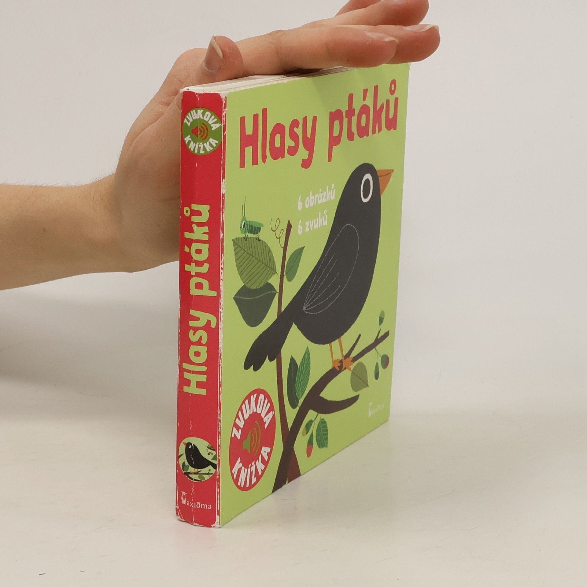 Marion Billet Hlasy ptáků : 6 obrázků, 6 zvuků