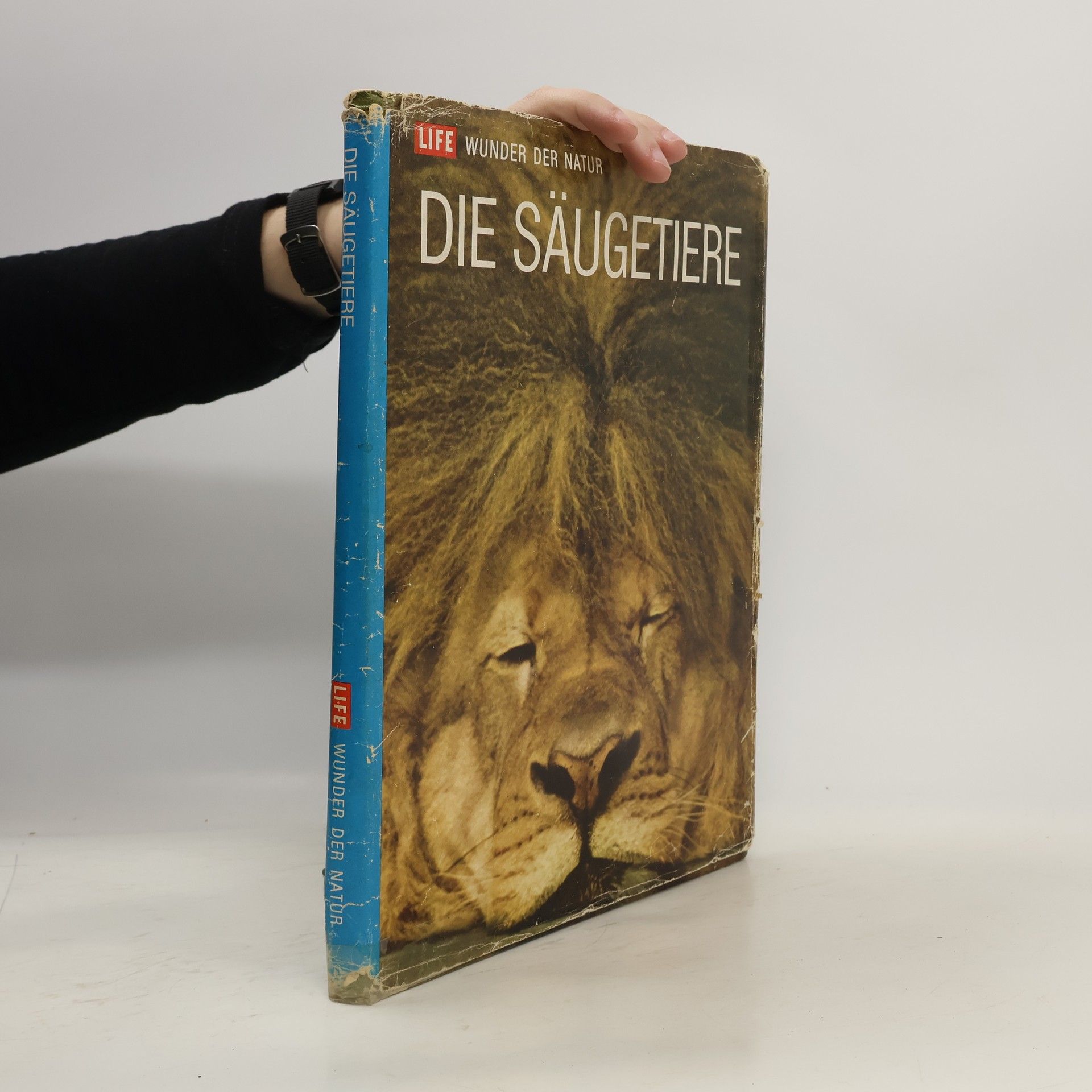 kolektiv Die Säugetiere