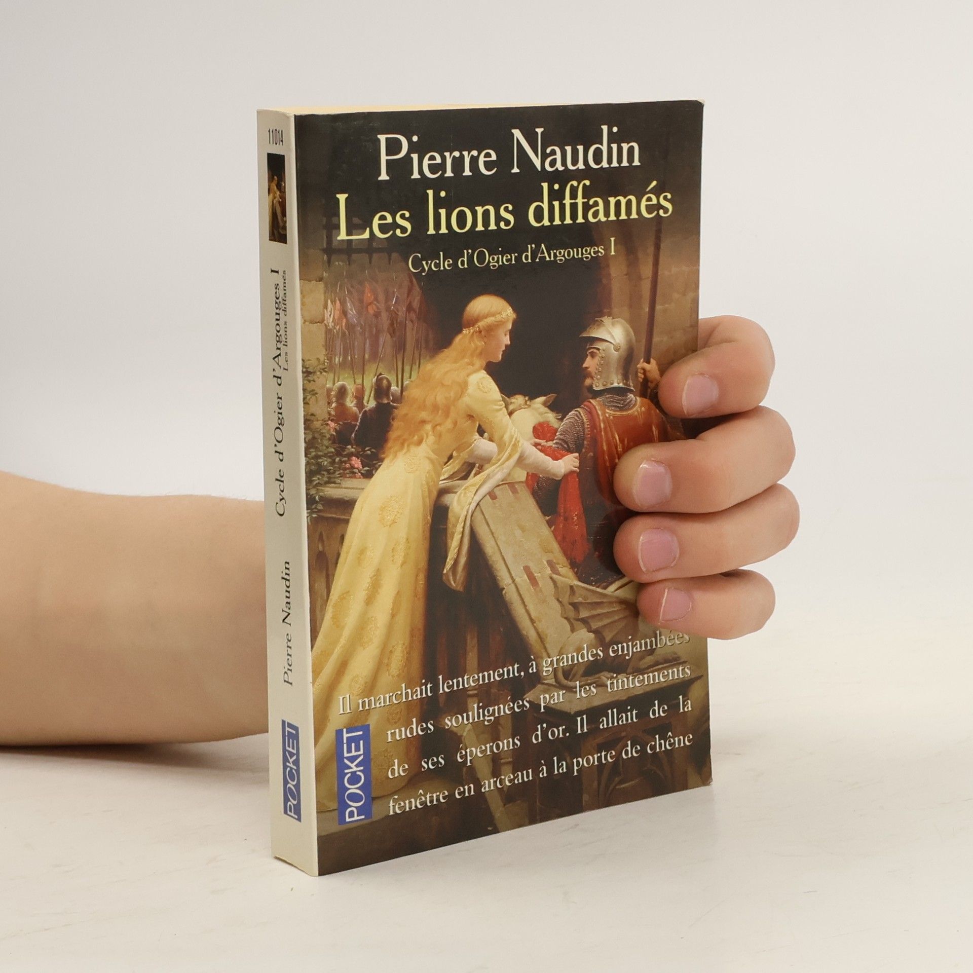 Pierre Naudin Les lions diffamés