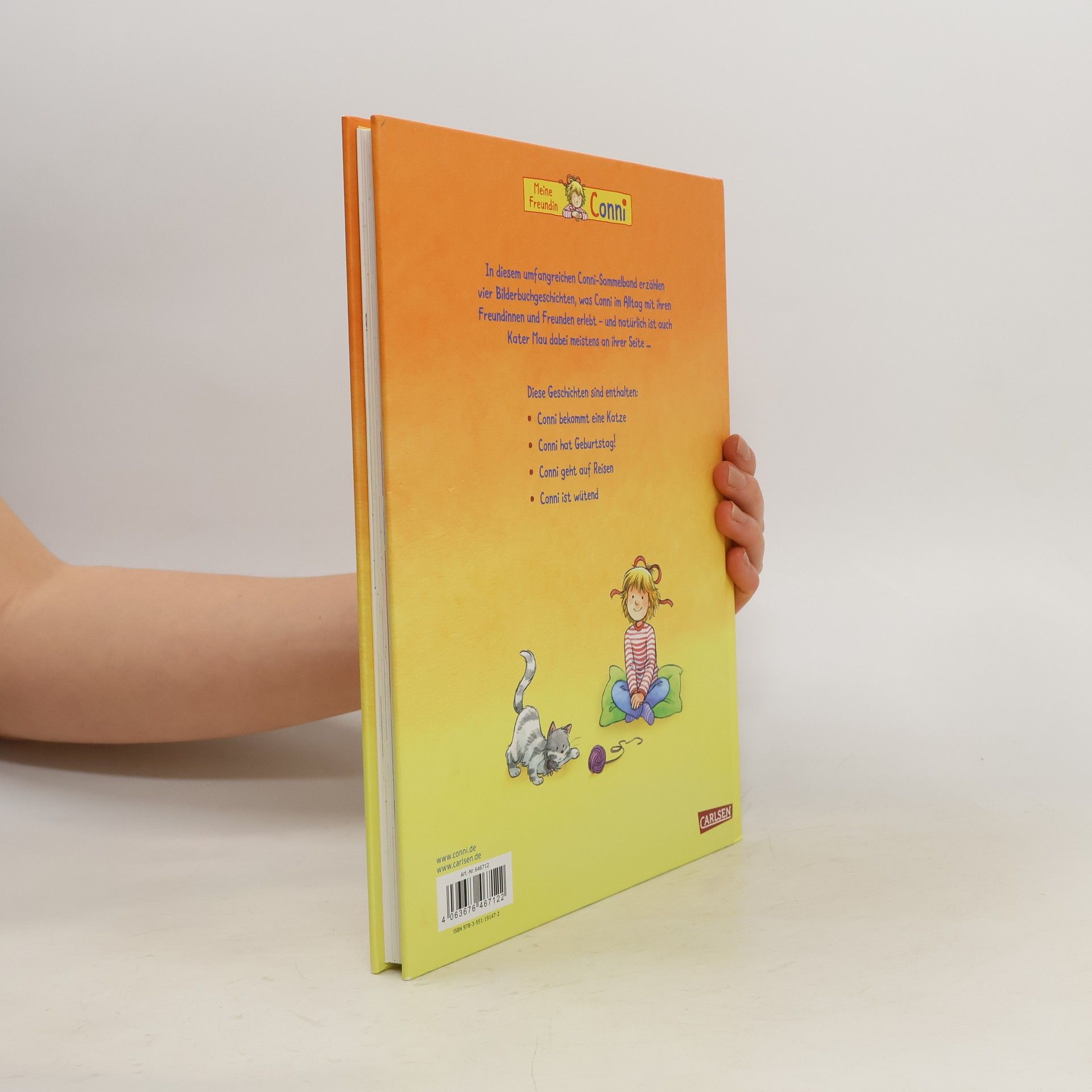 Liane Schneider Mein großes Conni-Vorlesebuch