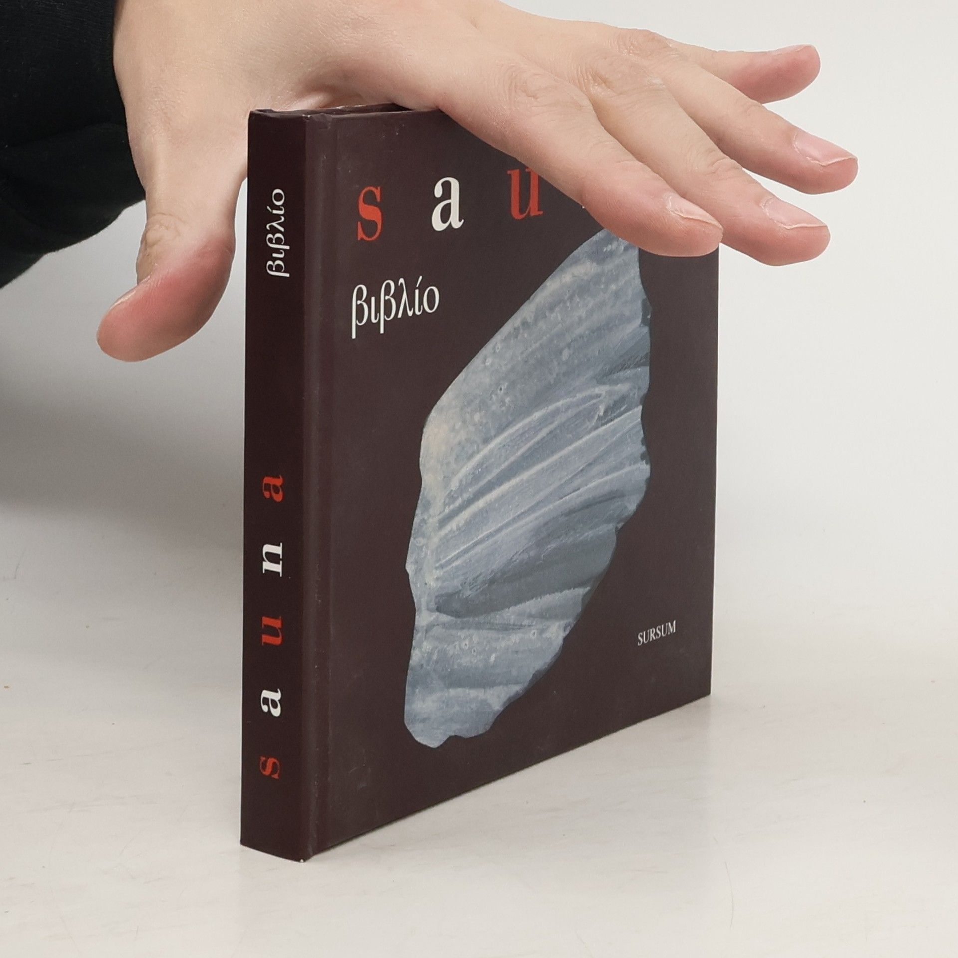 Autorenkollektiv Sauna biblio
