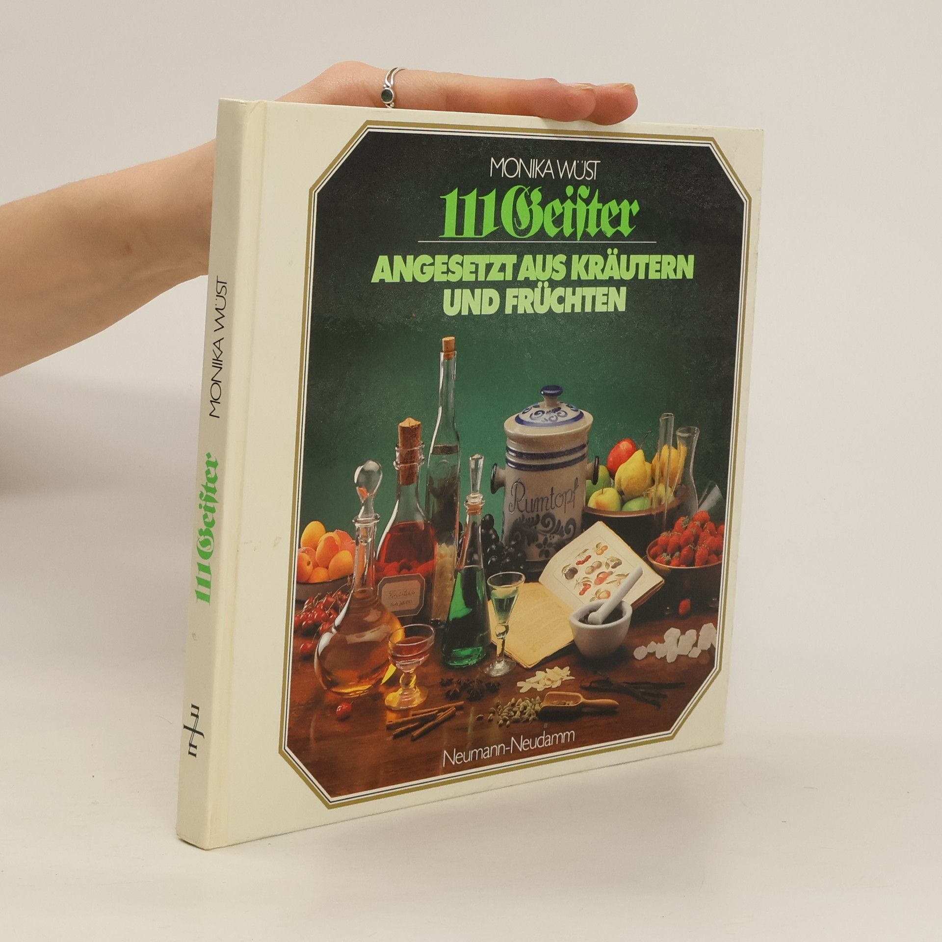Monika Wüst 111 Geister