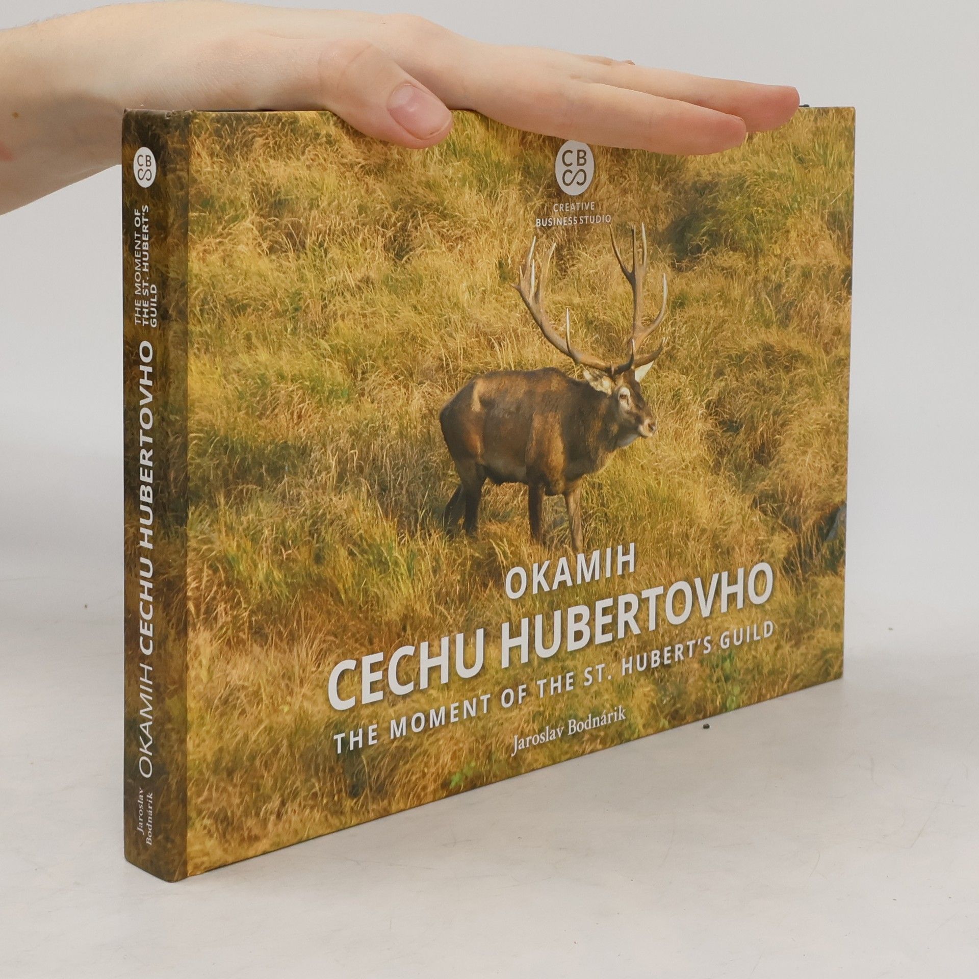 Jaroslav Bodnárik Okamih cechu Hubertovho
