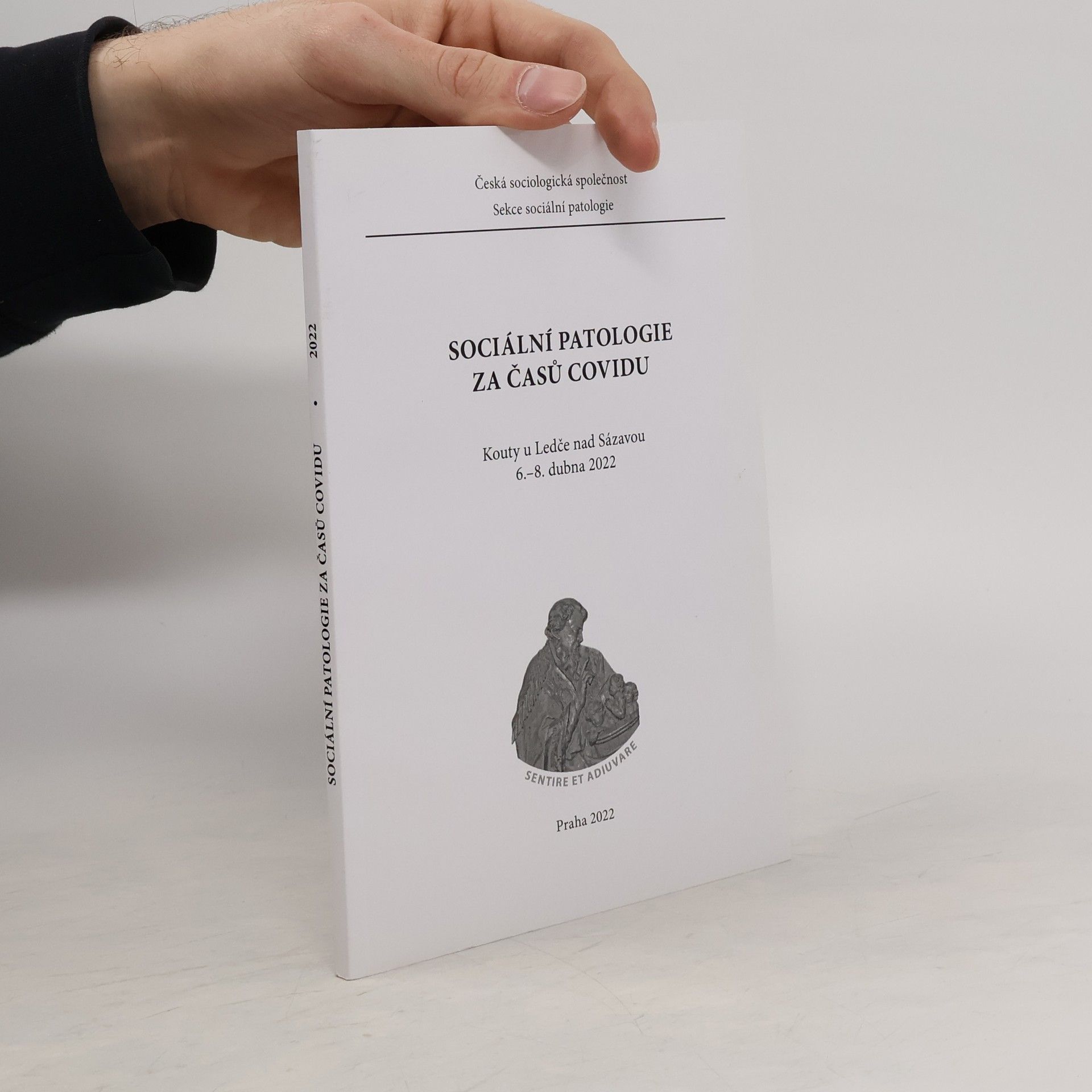 Kolektív autorov Sociální patologie za časů covidu