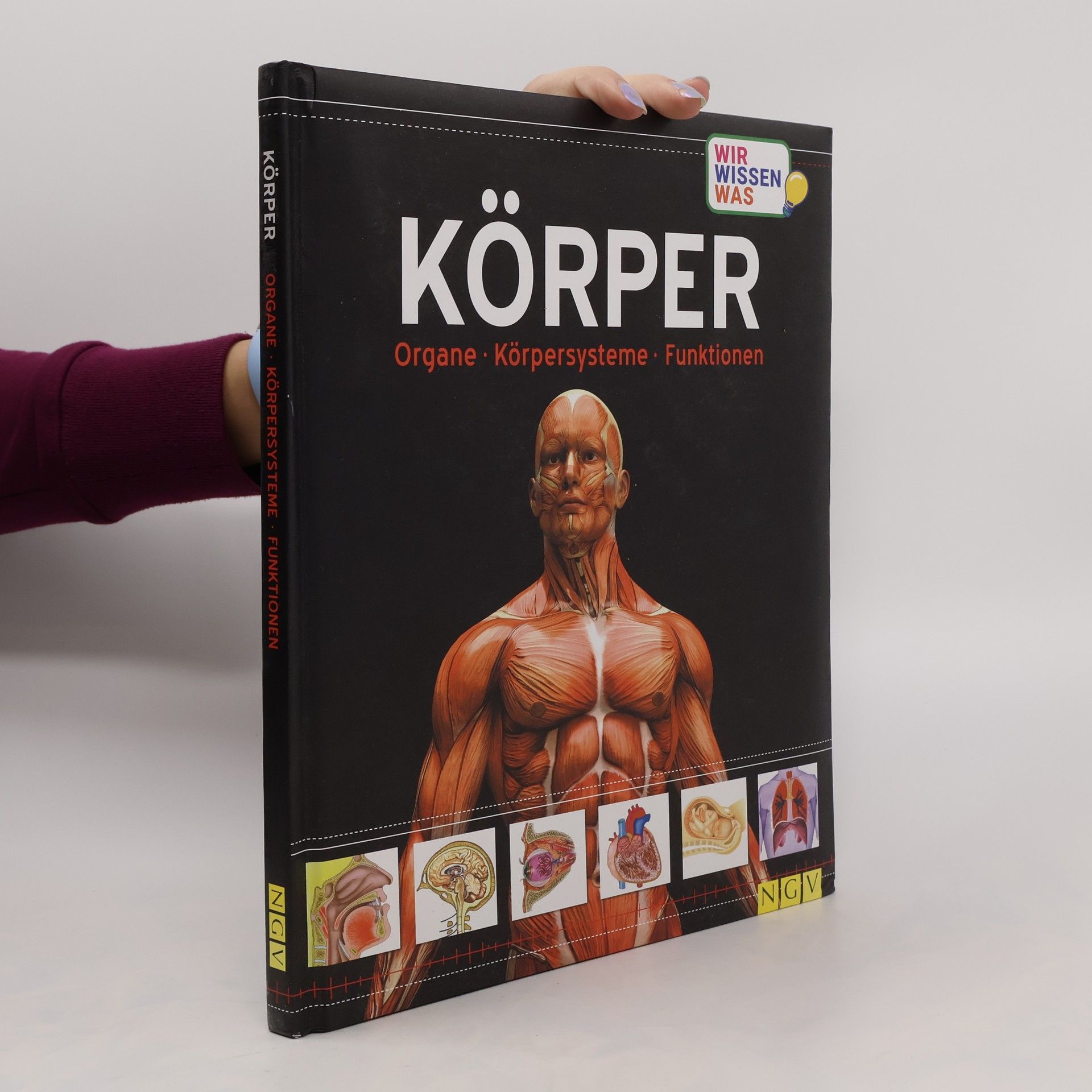 kolektiv Körper