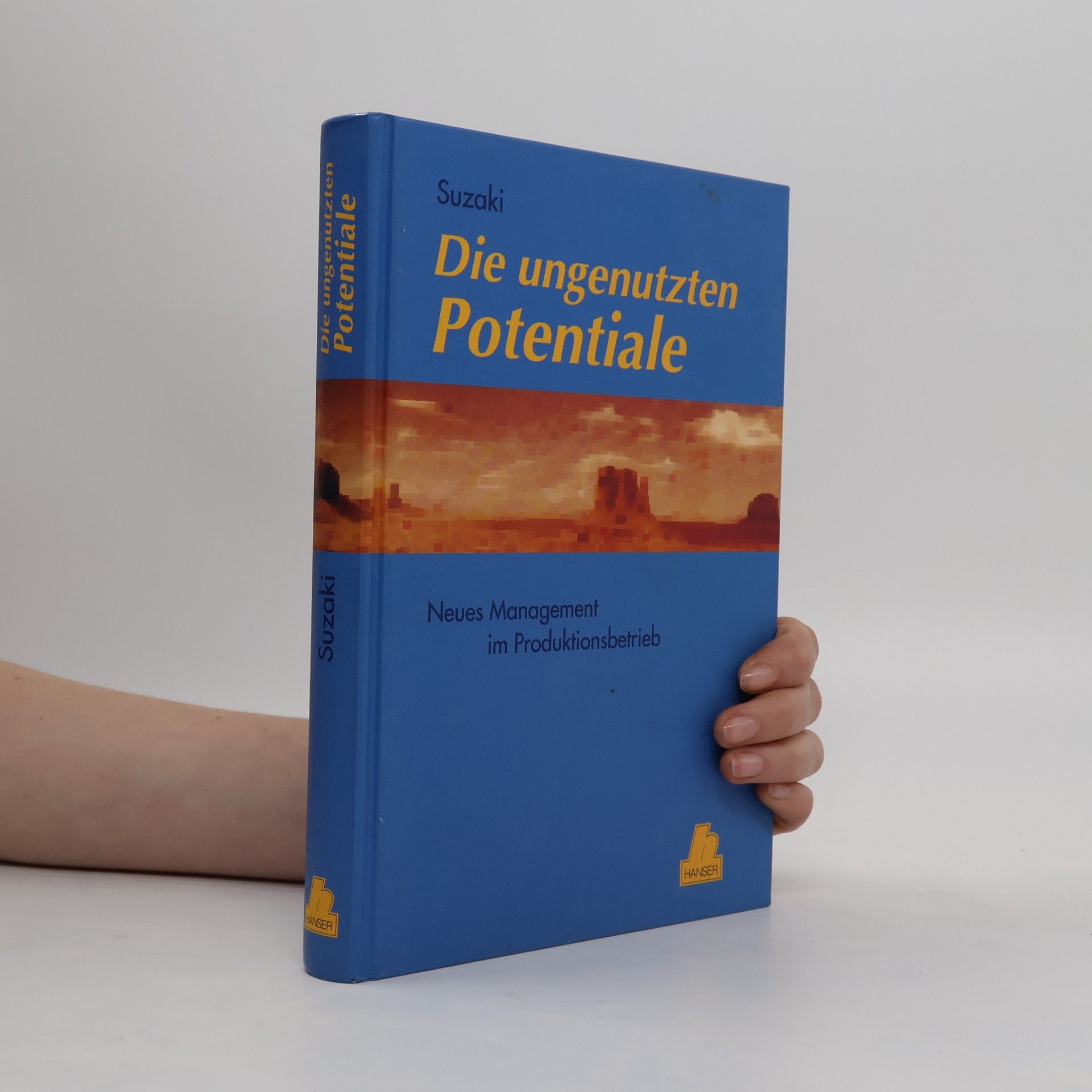 Kiyoshi Suzaki Die ungenutzten Potentiale